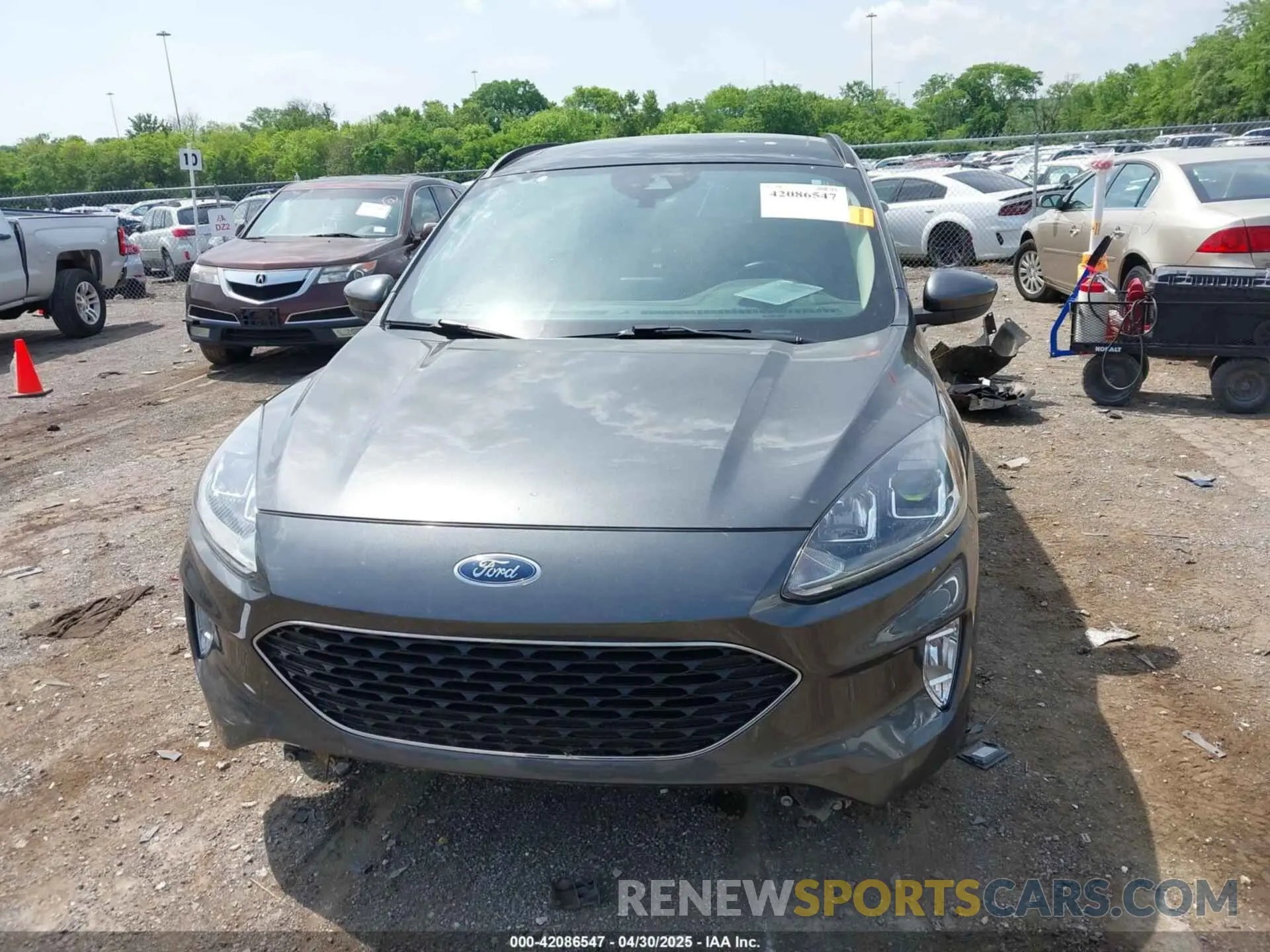 6 Photograph of a damaged car 1FMCU0H61LUA23452 FORD ESCAPE 2020