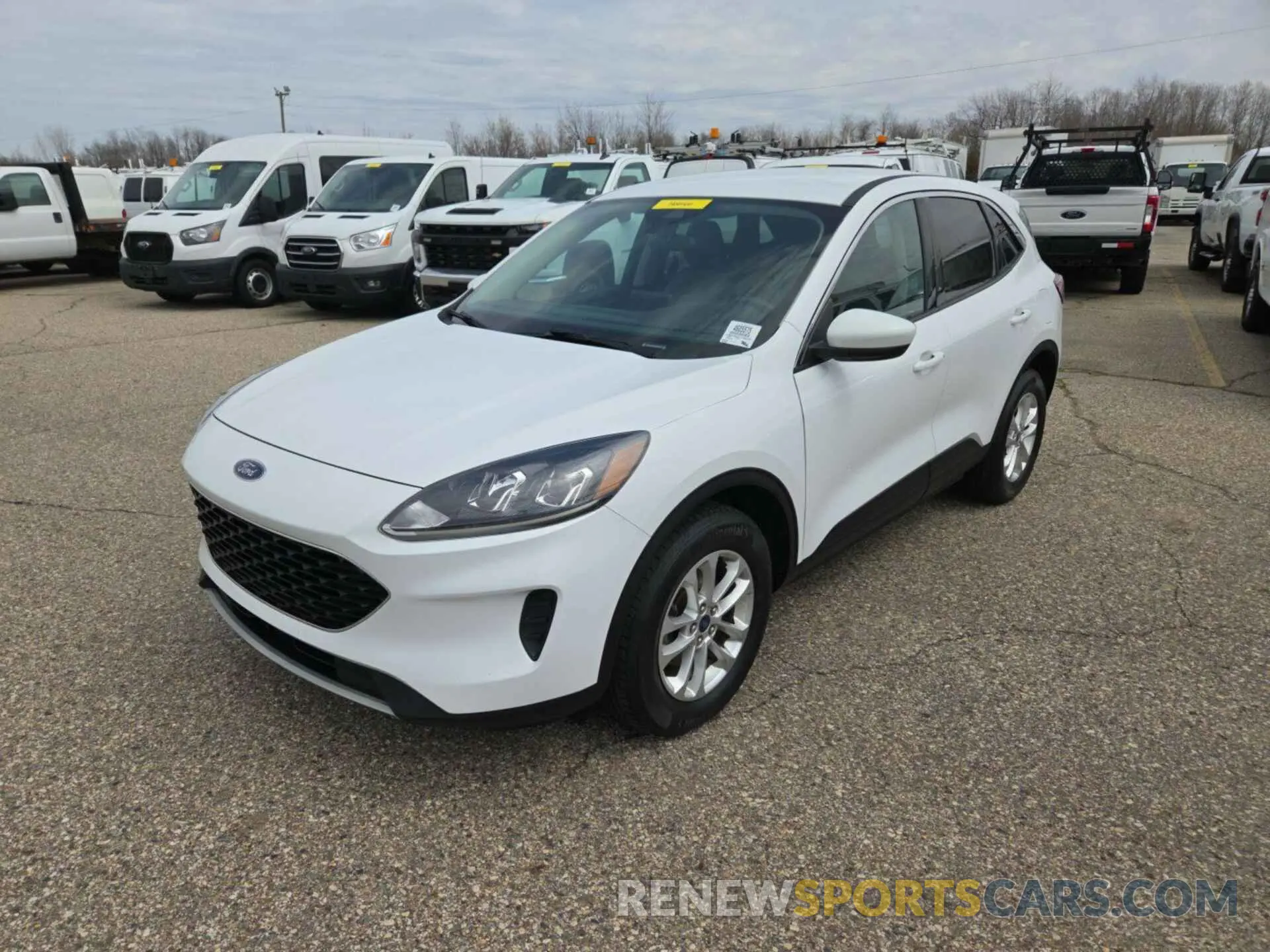 8 Photograph of a damaged car 1FMCU9G62LUB84267 FORD ESCAPE 2020