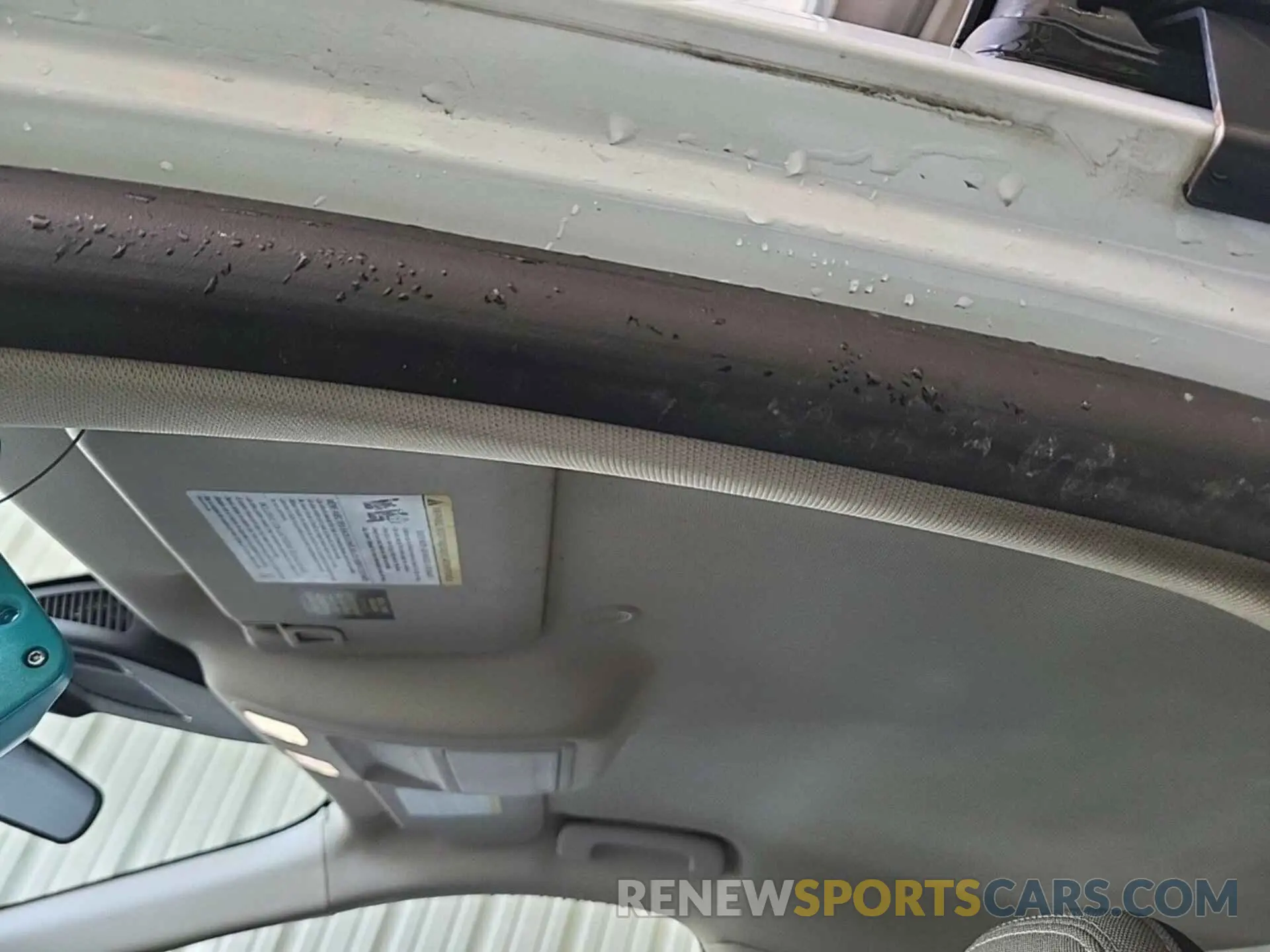 19 Photograph of a damaged car 1FMCU9G63LUB81331 FORD ESCAPE 2020