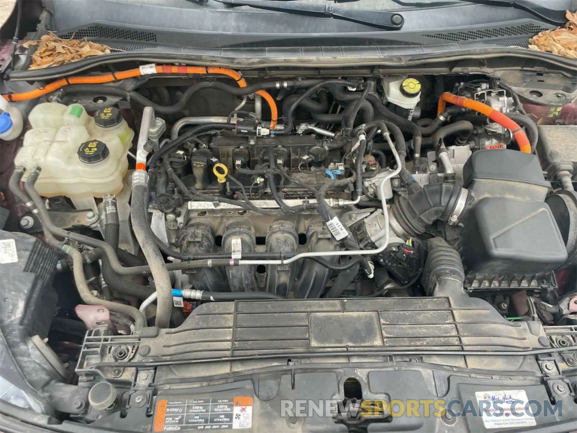 8 Photograph of a damaged car 1FMCU0BZ0MUA50663 FORD ESCAPE 2021
