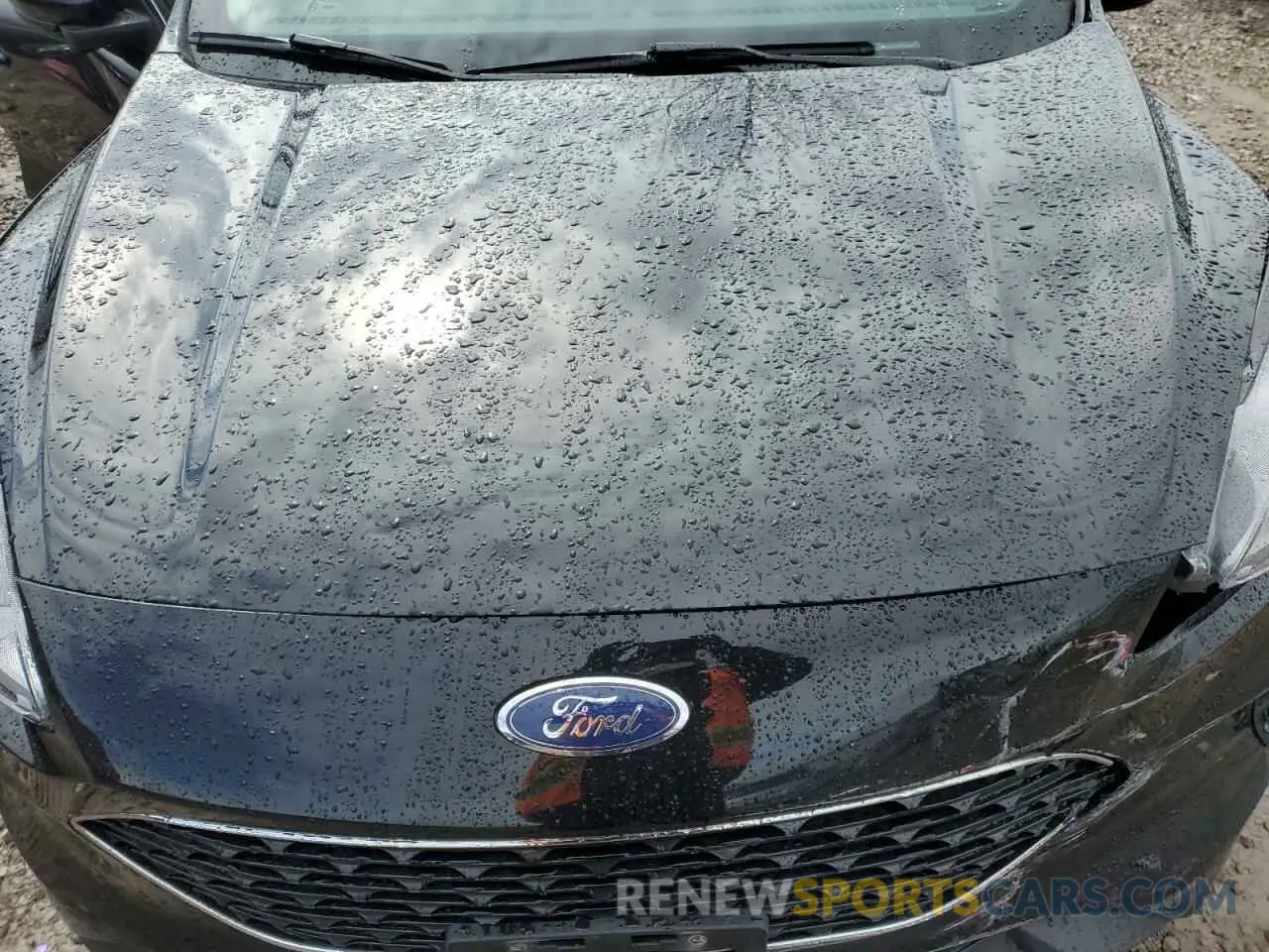 12 Photograph of a damaged car 1FMCU0BZ1MUA03951 FORD ESCAPE 2021