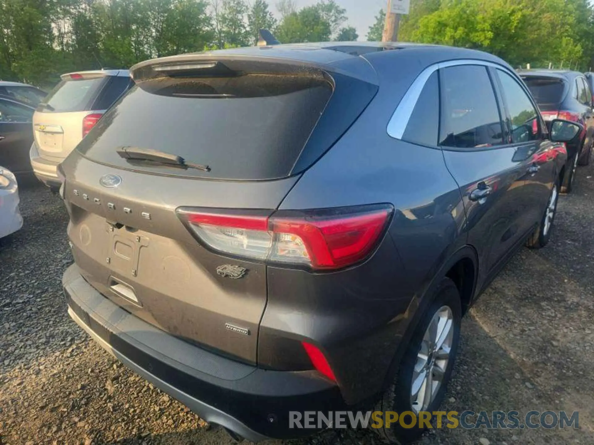 19 Photograph of a damaged car 1FMCU0BZ3MUA54870 FORD ESCAPE 2021