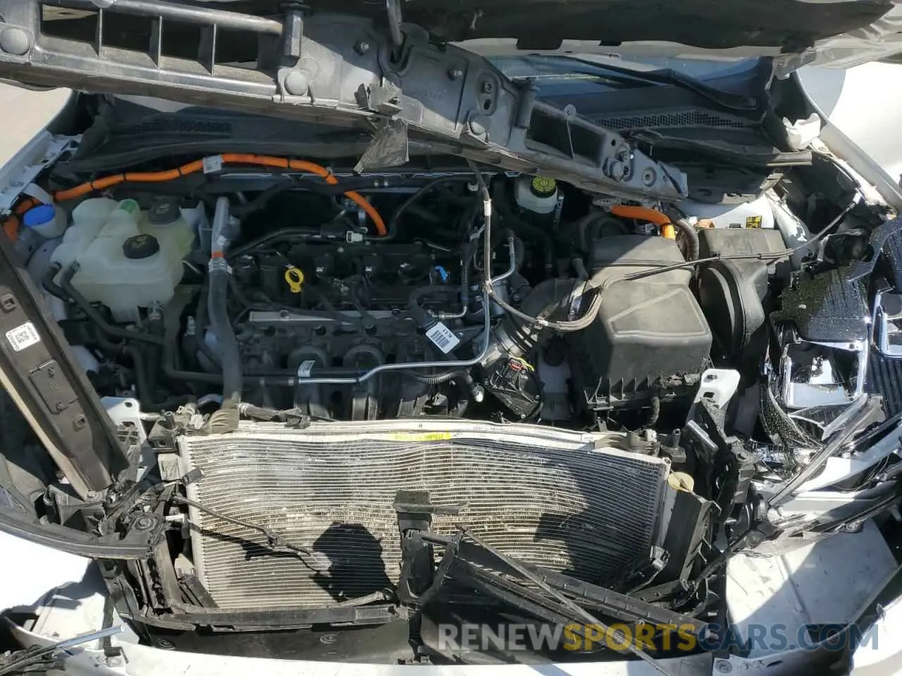 14 Photograph of a damaged car 1FMCU0BZ8MUA03767 FORD ESCAPE 2021