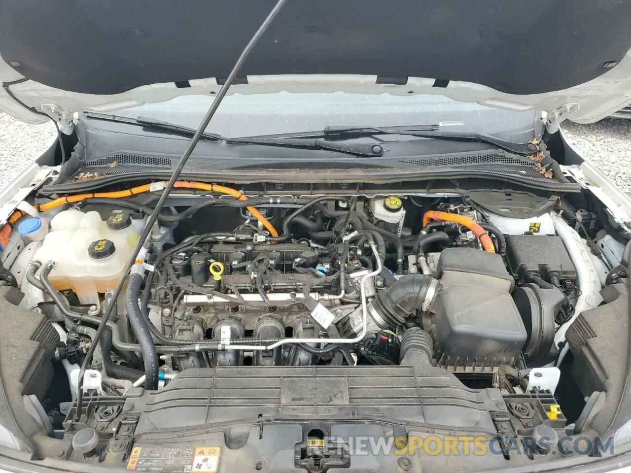 11 Photograph of a damaged car 1FMCU0BZ8MUA58445 FORD ESCAPE 2021