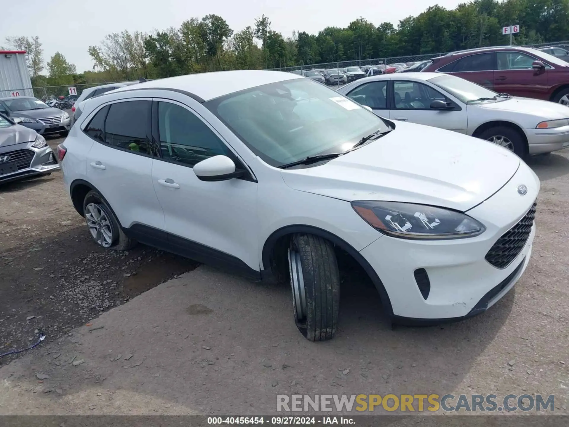 1 Photograph of a damaged car 1FMCU0BZ8MUA59353 FORD ESCAPE 2021