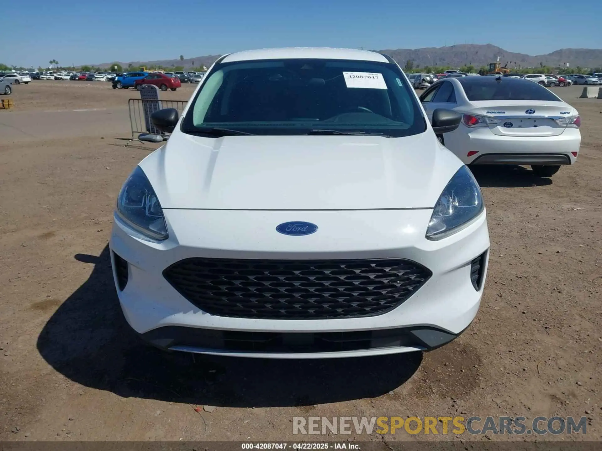 6 Photograph of a damaged car 1FMCU0F66MUA84316 FORD ESCAPE 2021