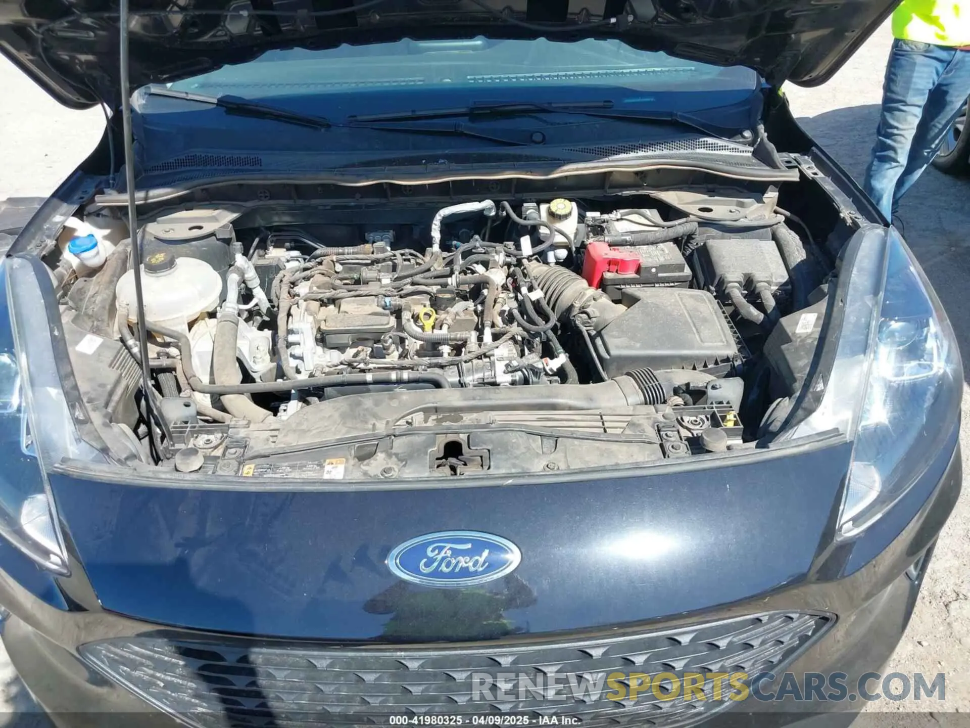 10 Photograph of a damaged car 1FMCU0F68MUA49499 FORD ESCAPE 2021