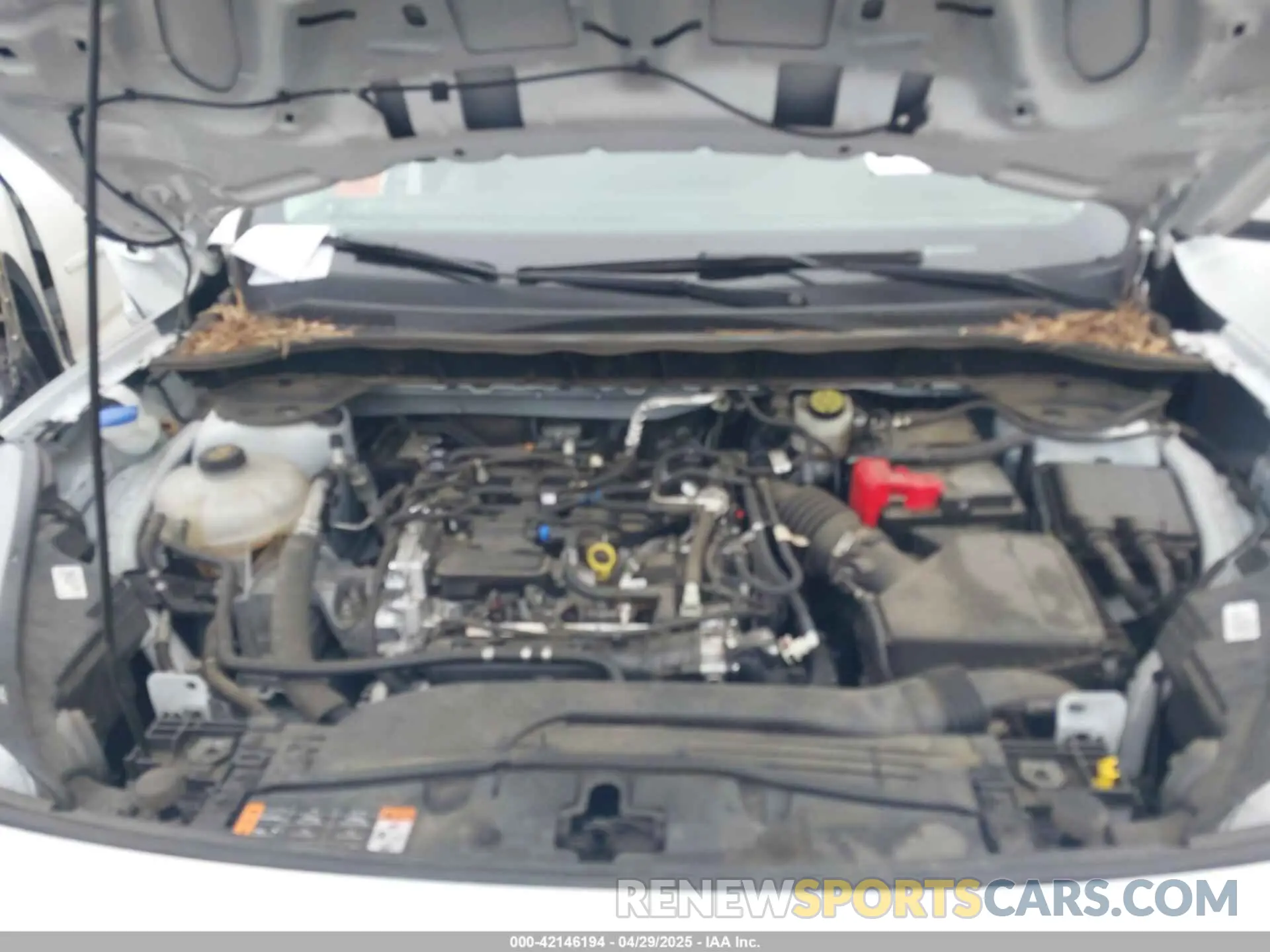 10 Photograph of a damaged car 1FMCU0G60MUB10259 FORD ESCAPE 2021