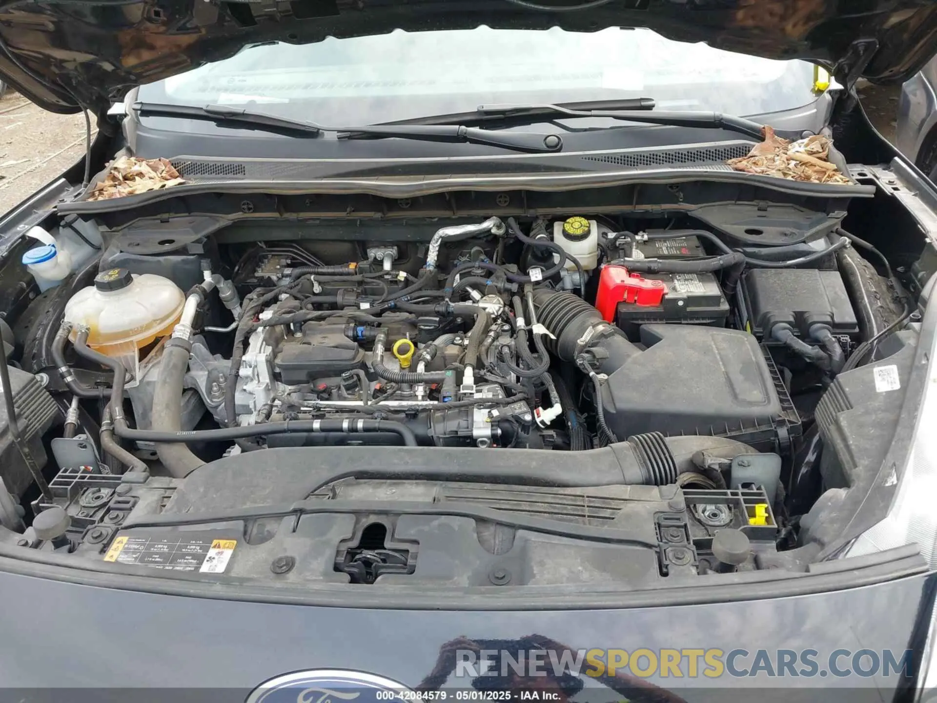 10 Photograph of a damaged car 1FMCU0G65MUB10368 FORD ESCAPE 2021