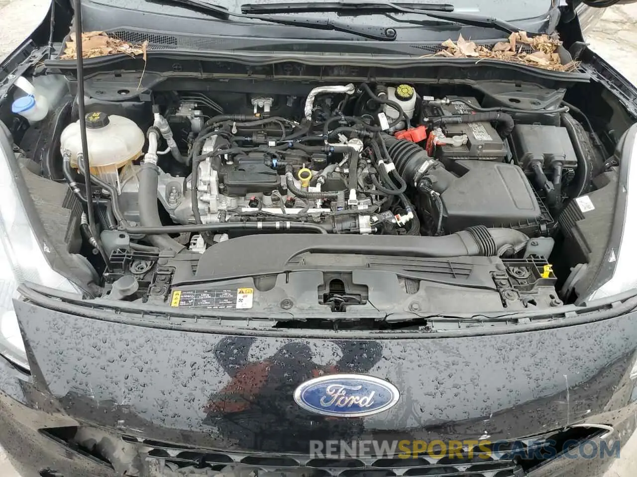 13 Photograph of a damaged car 1FMCU0H62MUA56736 FORD ESCAPE 2021