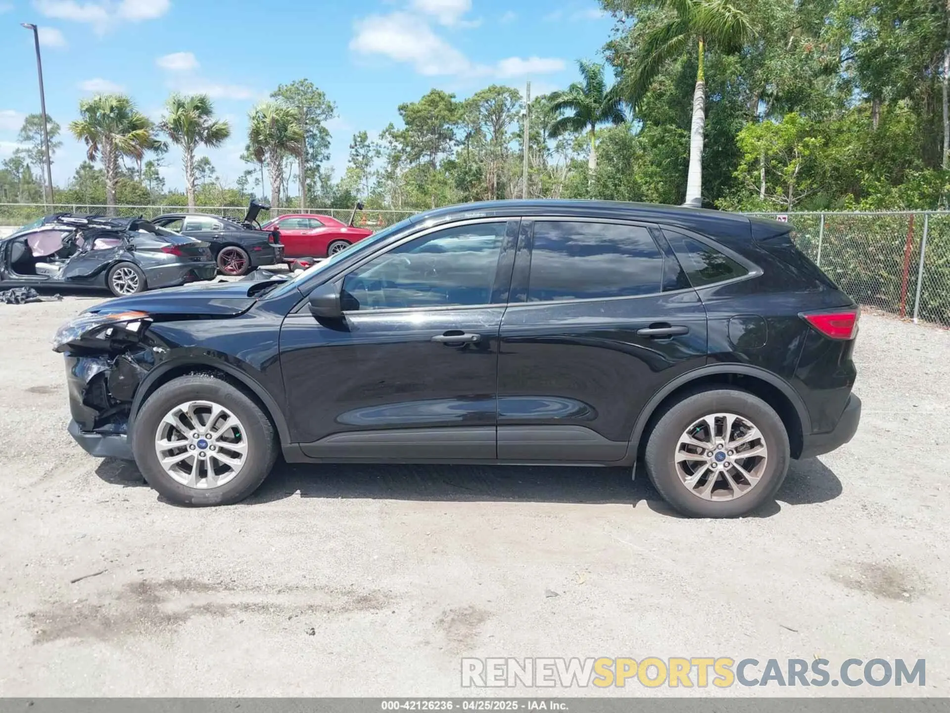 14 Photograph of a damaged car 1FMCU0F63NUB70636 FORD ESCAPE 2022