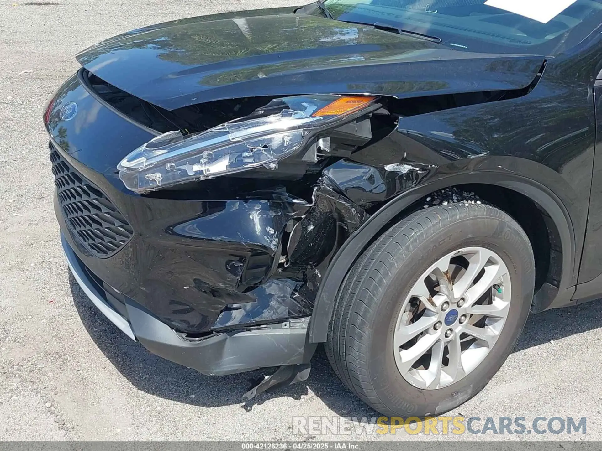 6 Photograph of a damaged car 1FMCU0F63NUB70636 FORD ESCAPE 2022