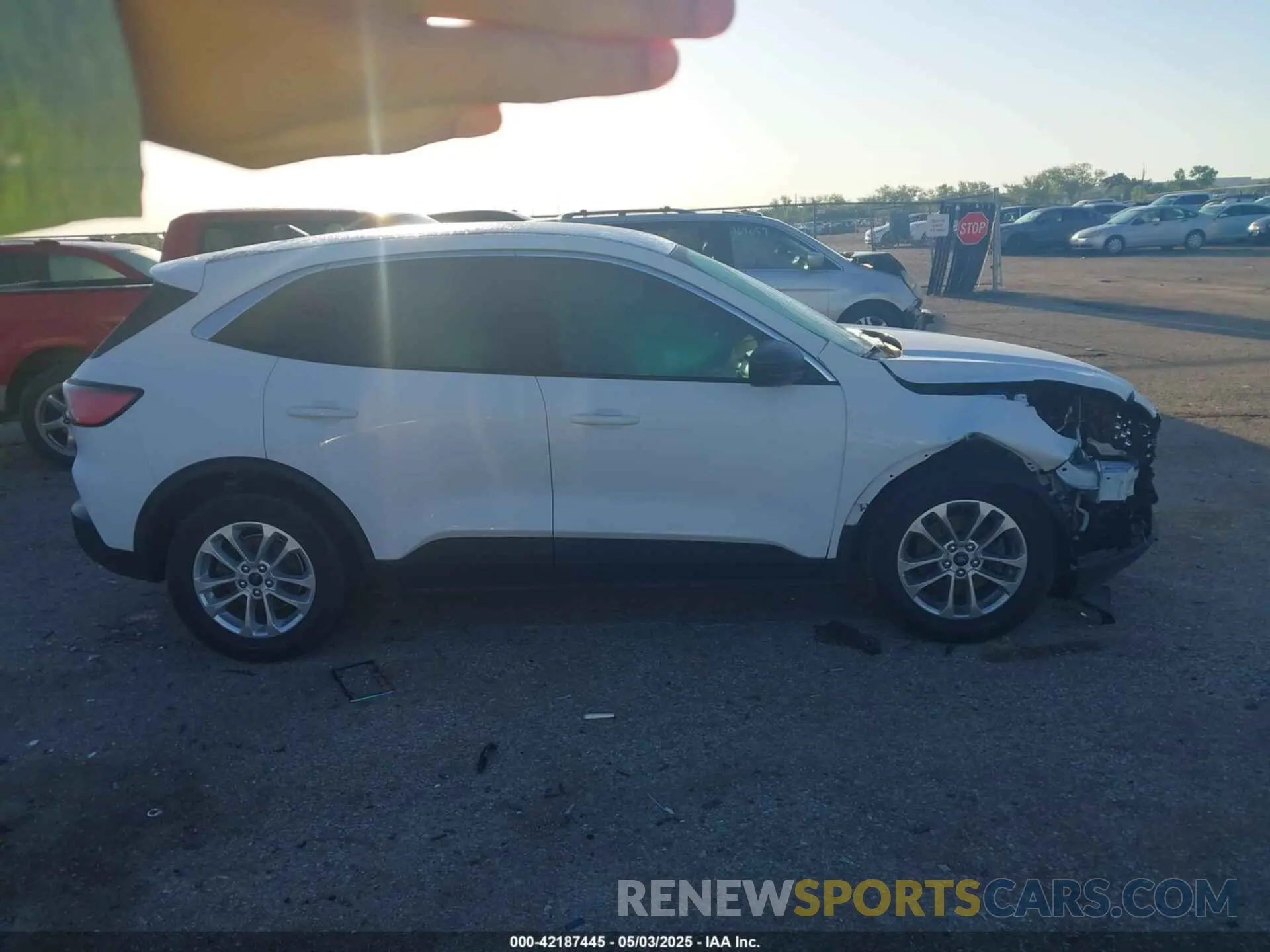 13 Photograph of a damaged car 1FMCU0G60NUA62683 FORD ESCAPE 2022