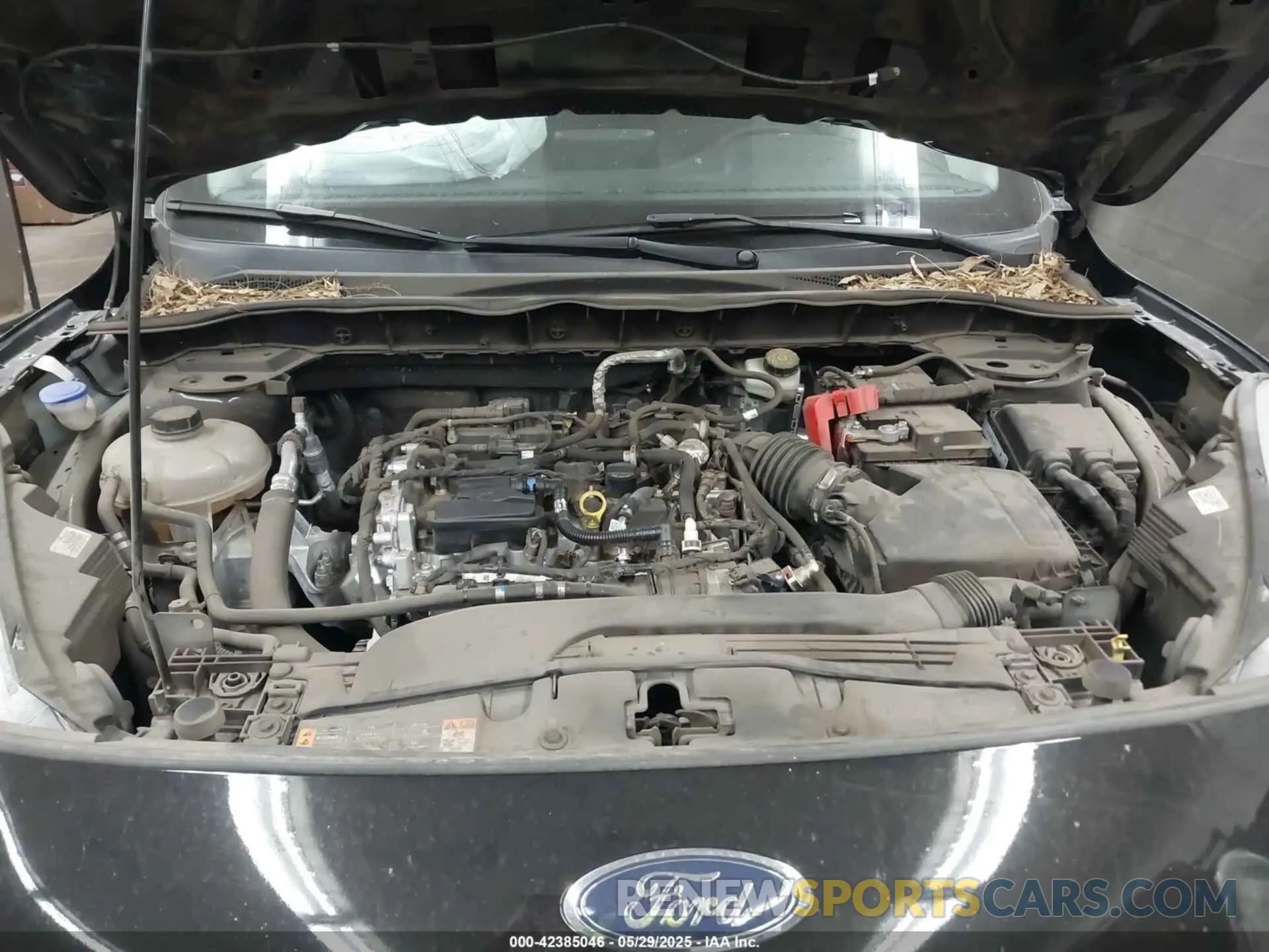 10 Photograph of a damaged car 1FMCU0G63NUA54089 FORD ESCAPE 2022