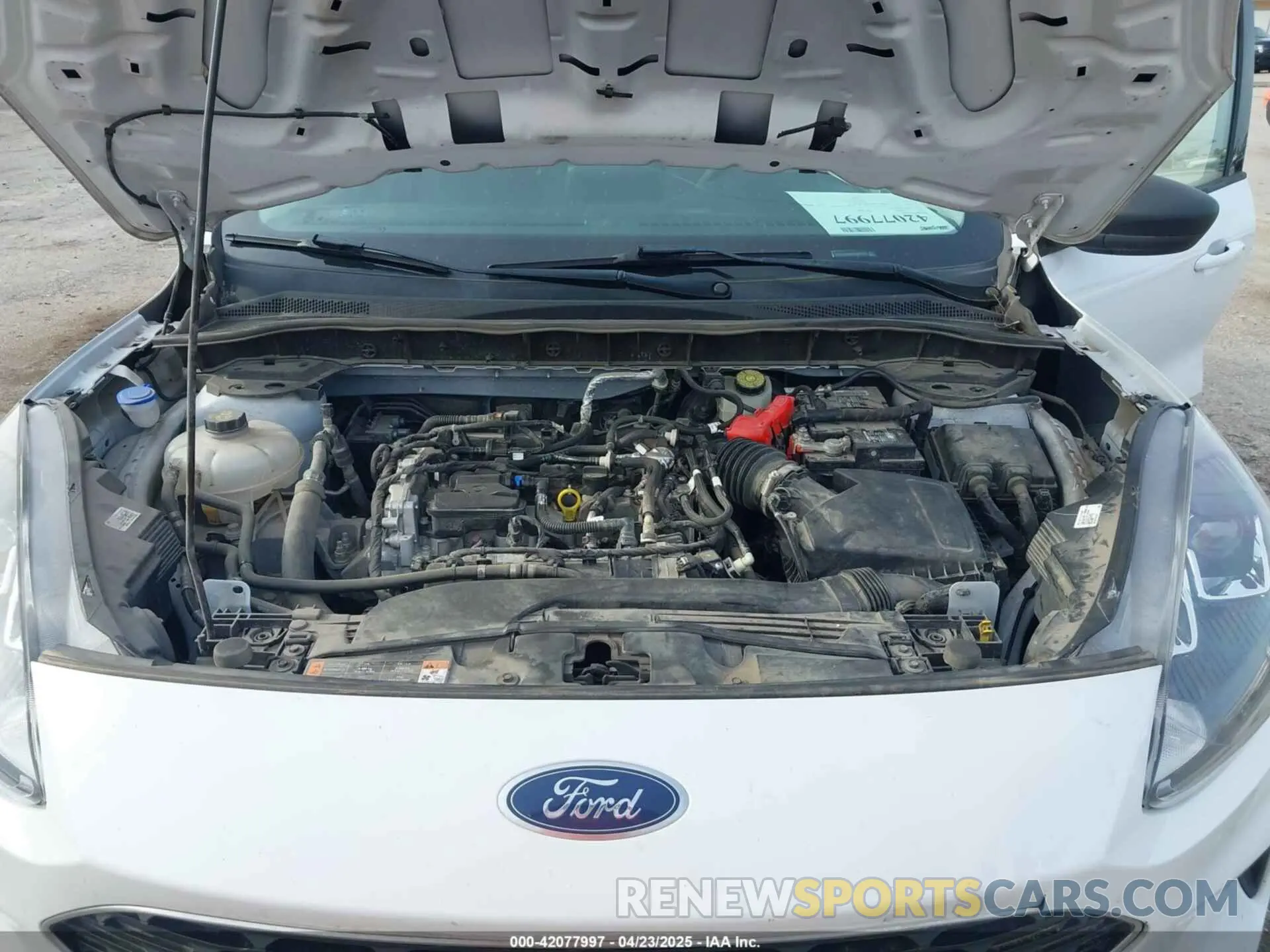 10 Photograph of a damaged car 1FMCU0G66NUB01020 FORD ESCAPE 2022