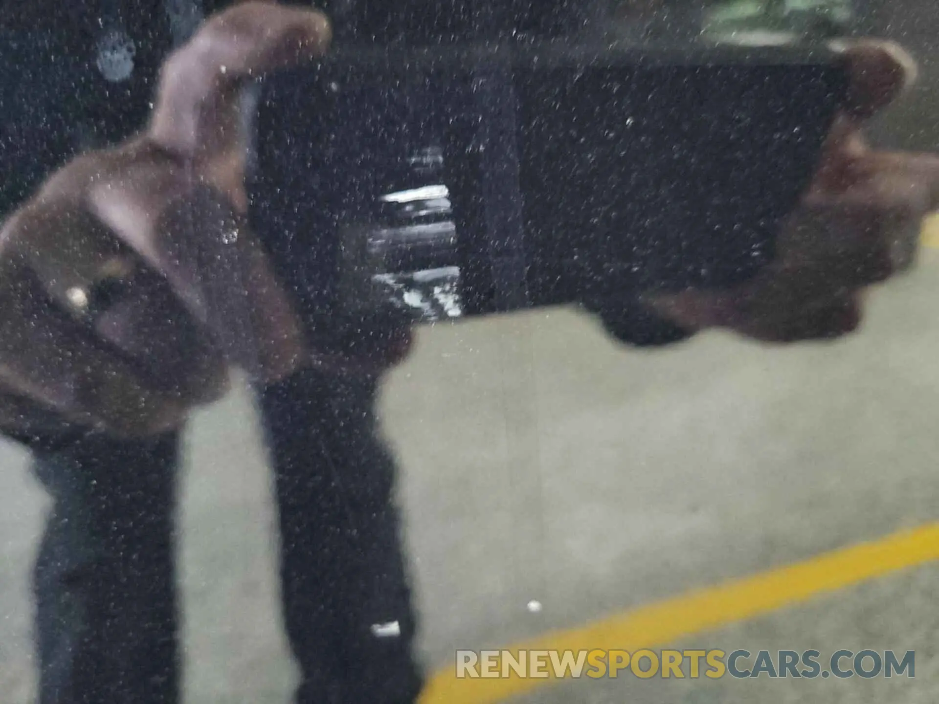 27 Photograph of a damaged car 1FMCU0G69NUA09335 FORD ESCAPE 2022