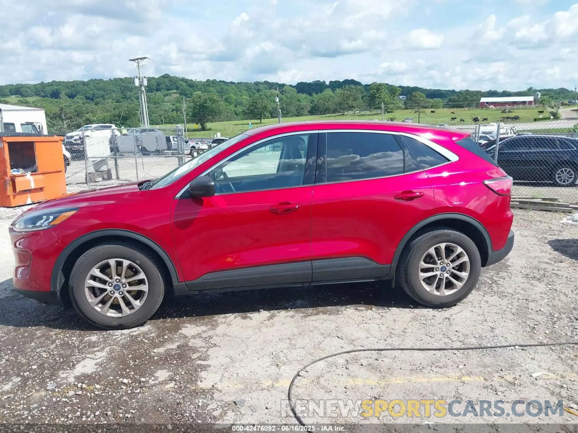 14 Photograph of a damaged car 1FMCU0G69NUB54973 FORD ESCAPE 2022