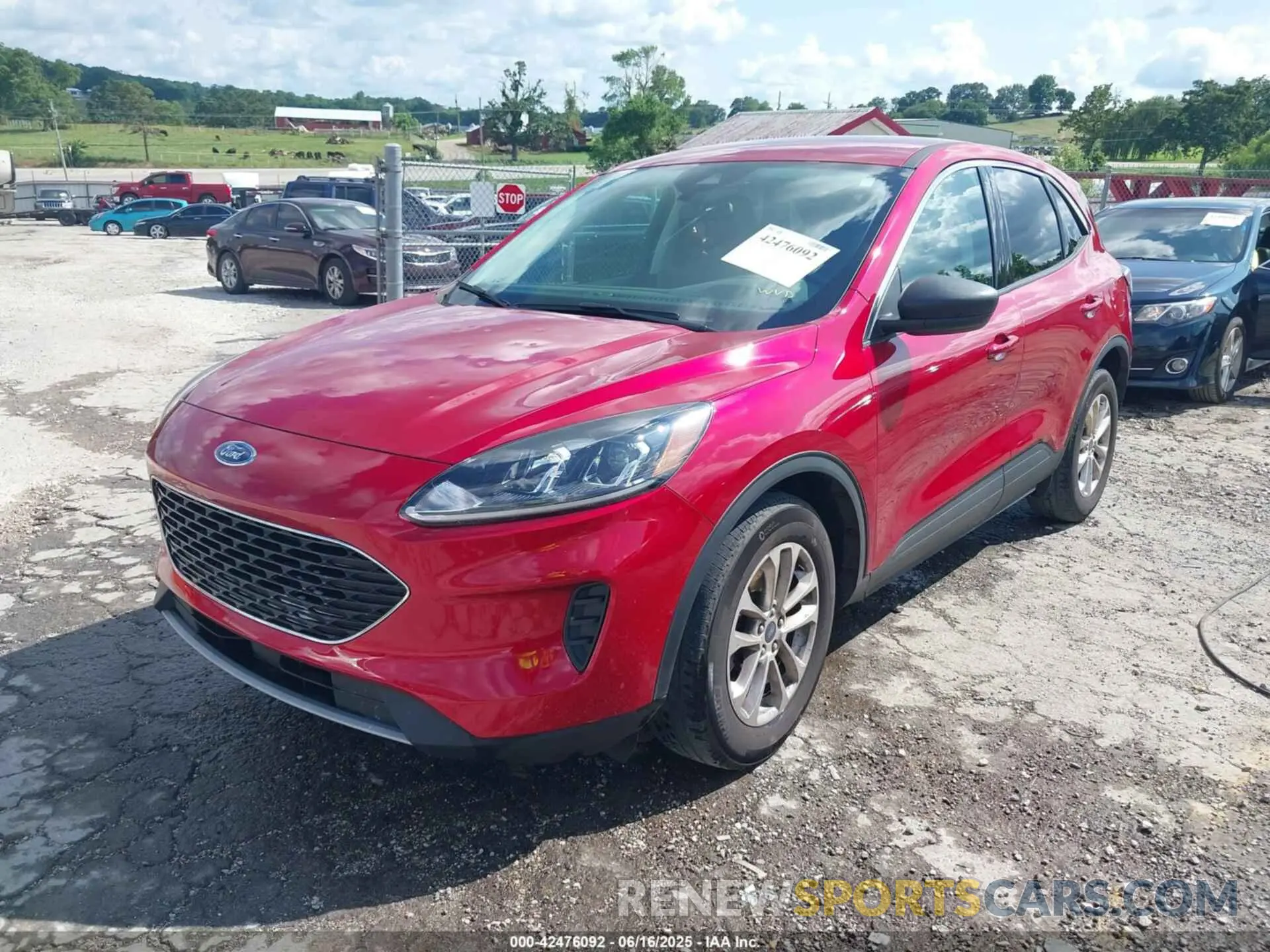 2 Photograph of a damaged car 1FMCU0G69NUB54973 FORD ESCAPE 2022