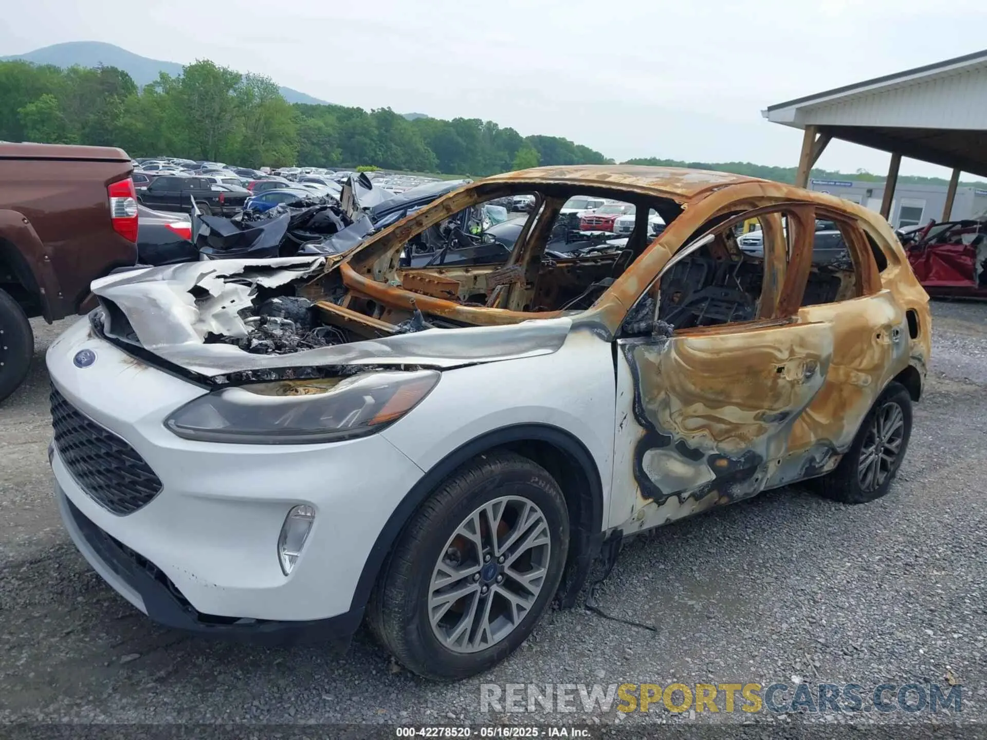 6 Photograph of a damaged car 1FMCU0H66NUA84198 FORD ESCAPE 2022