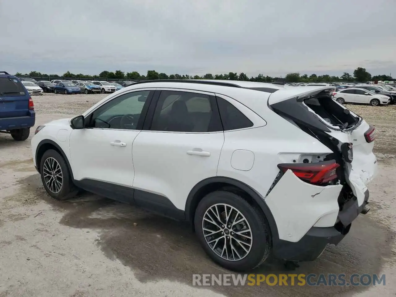 2 Photograph of a damaged car 1FMCU0E12PUA06643 FORD ESCAPE 2023