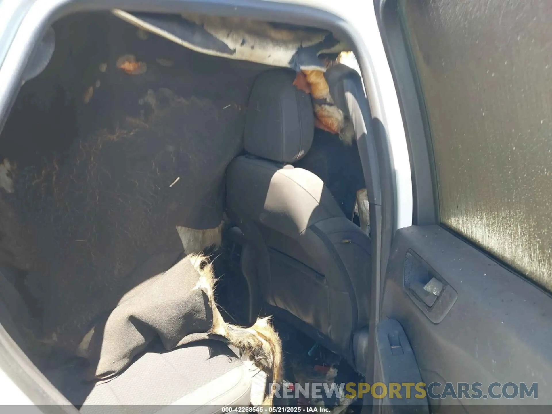 8 Photograph of a damaged car 1FMCU0MNXPUB20734 FORD ESCAPE 2023