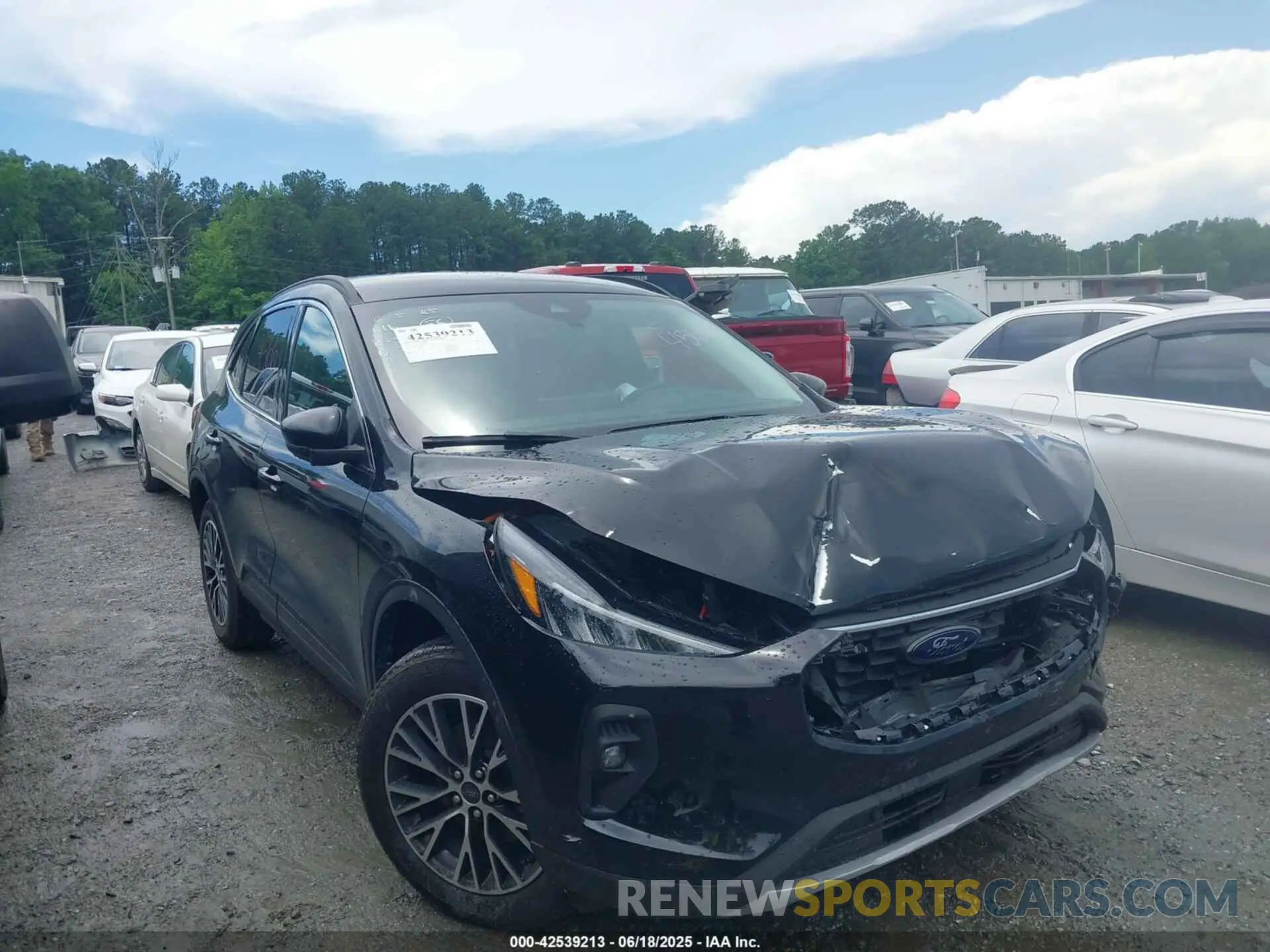 13 Photograph of a damaged car 1FMCU0E18SUA92419 FORD ESCAPE 2025