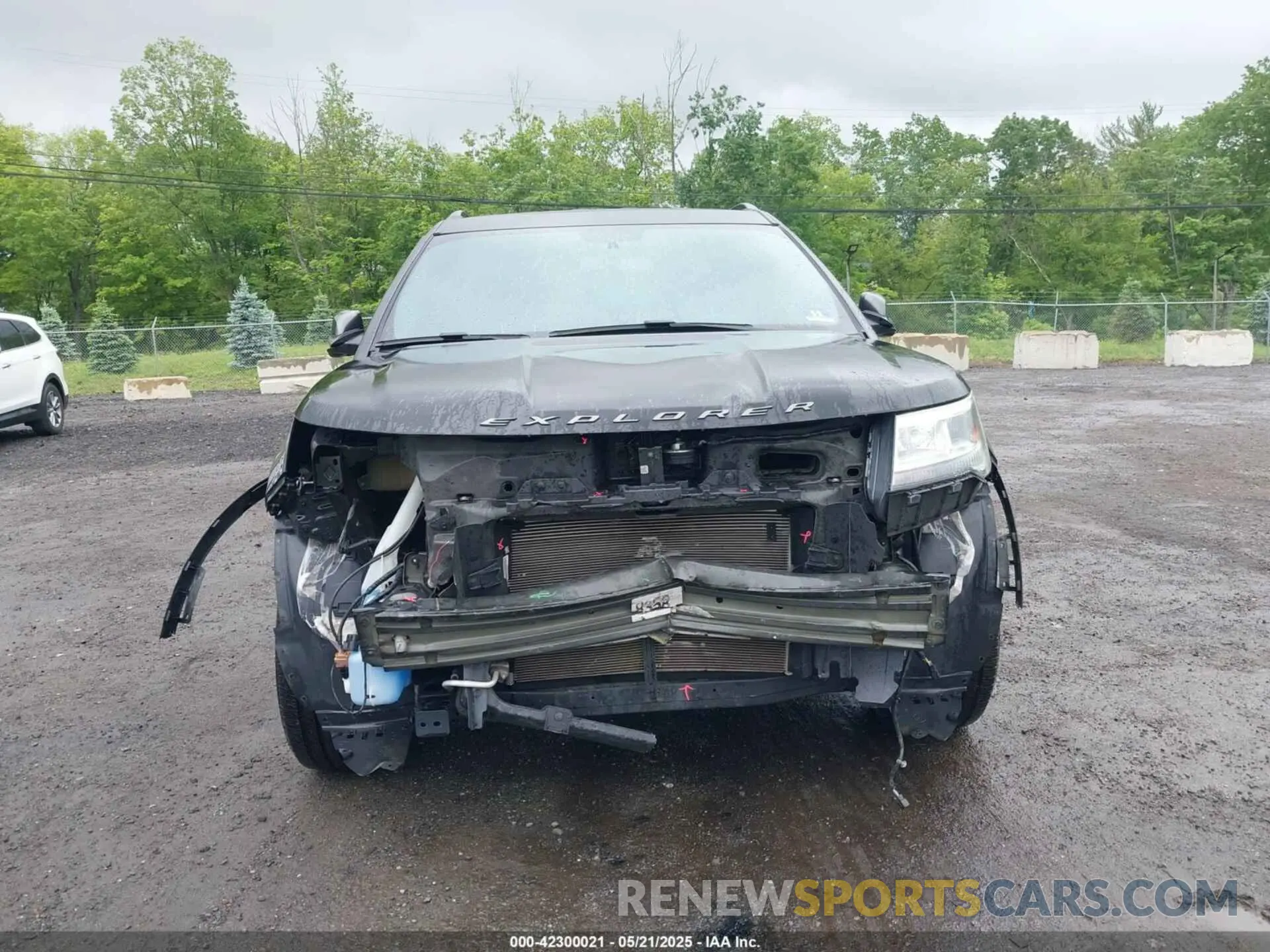 12 Photograph of a damaged car 1FM5K8D86KGA81851 FORD EXPLORER 2019