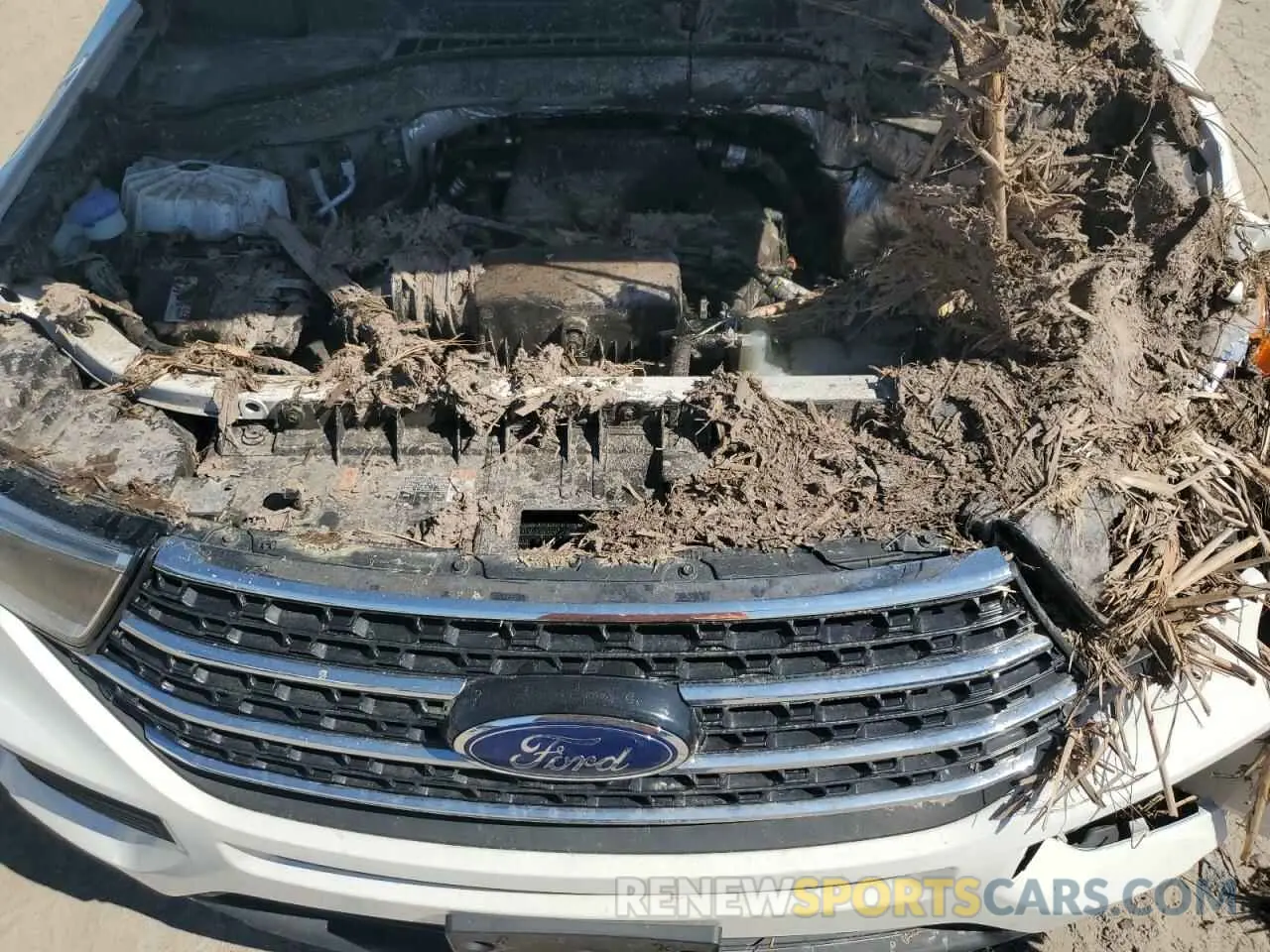 13 Photograph of a damaged car 1FMSK8DH0LGB37769 FORD EXPLORER 2020