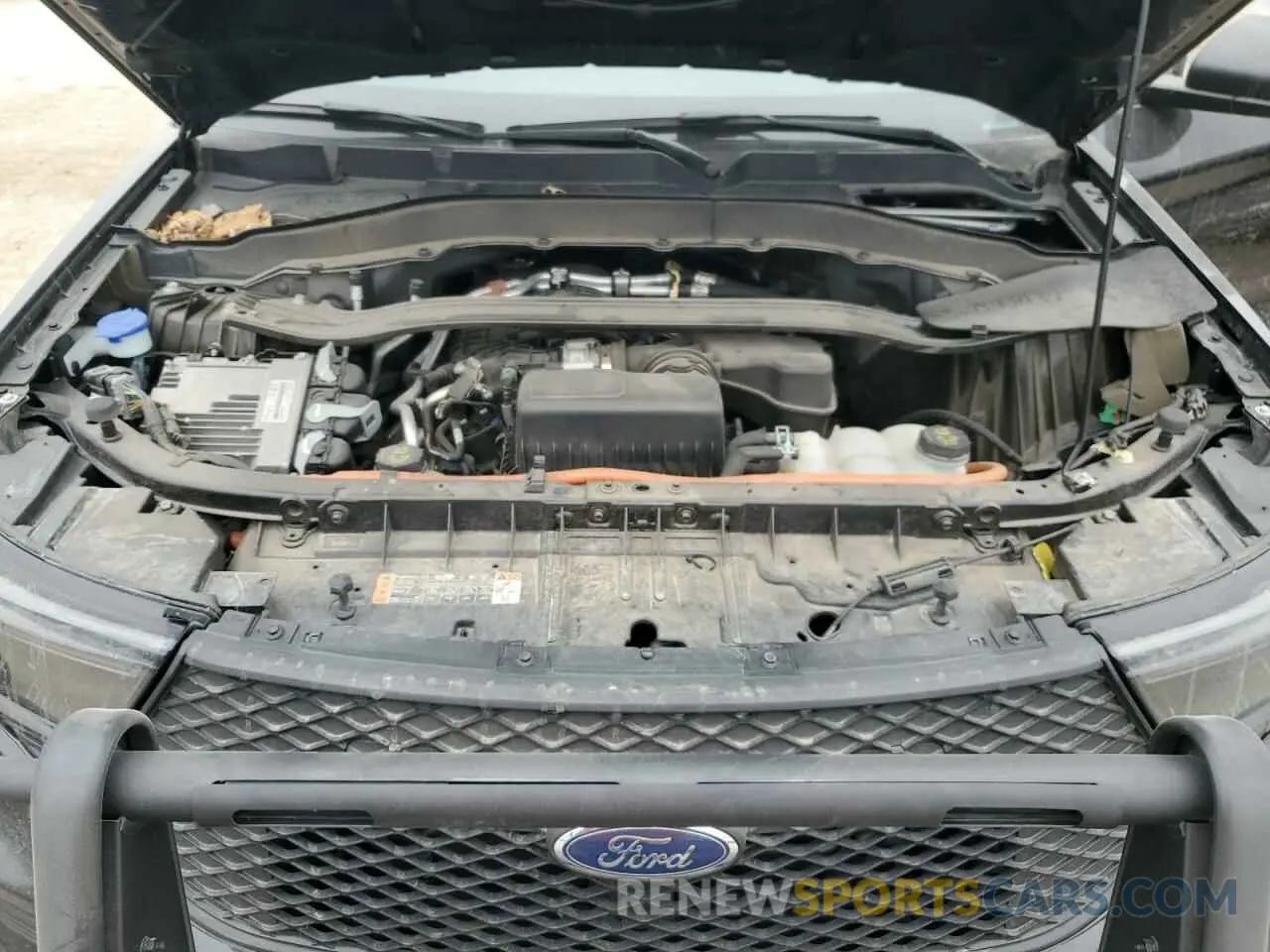 12 Photograph of a damaged car 1FM5K8AW6PNA01437 FORD EXPLORER 2023