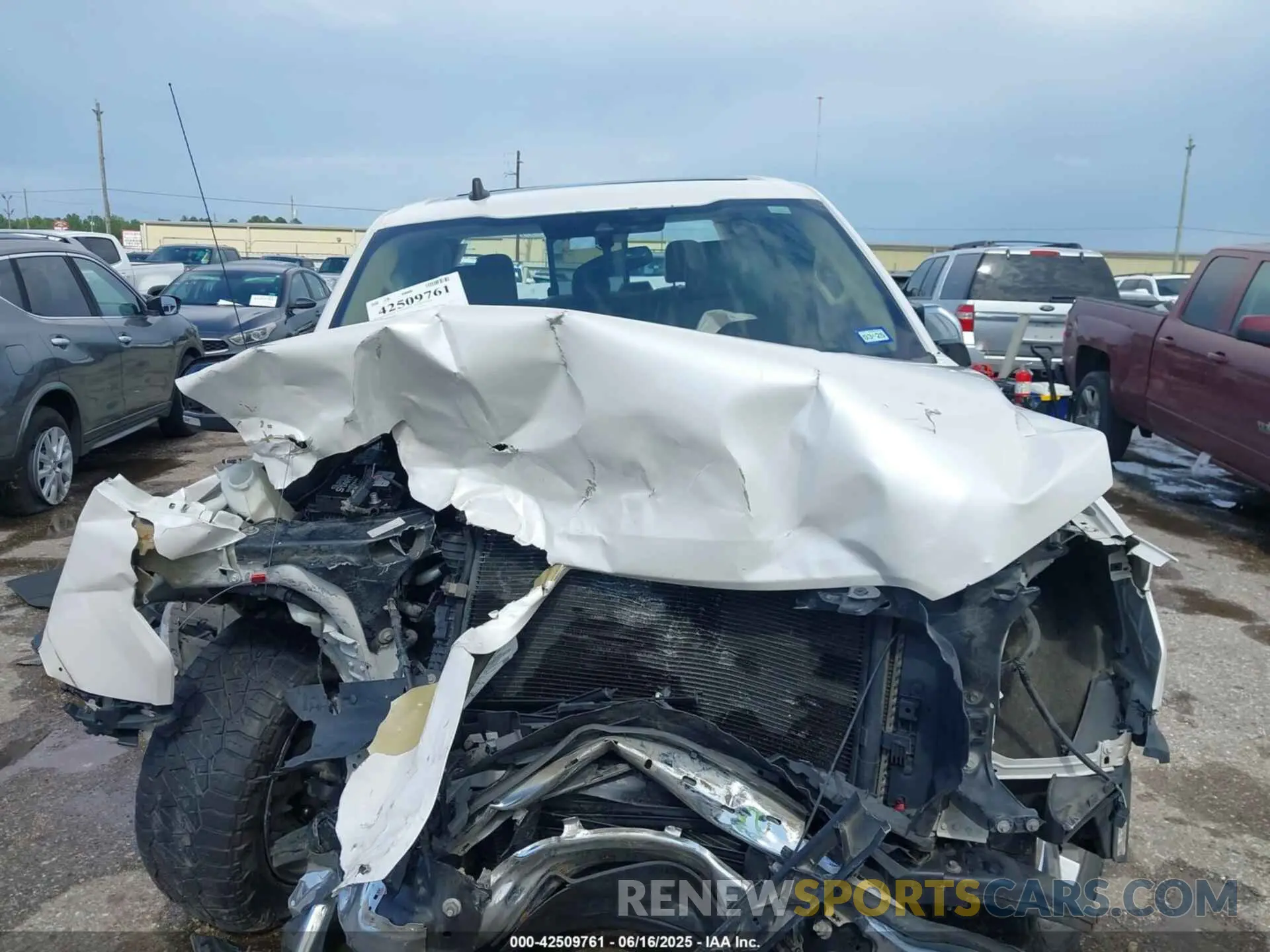 12 Photograph of a damaged car 1FTEW1C44KKC59154 FORD F-150 2019