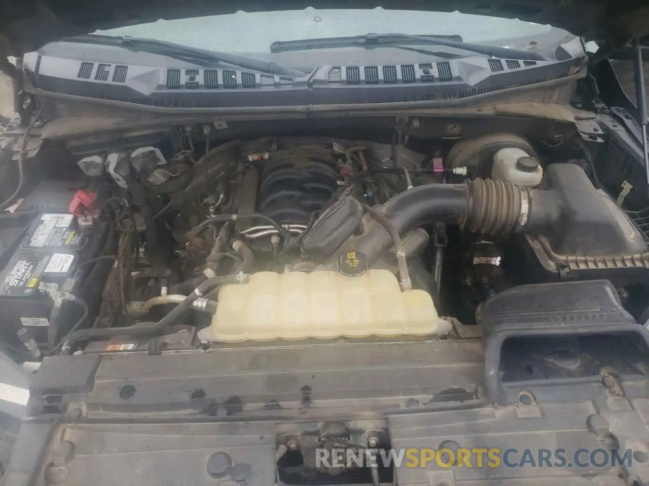 11 Photograph of a damaged car 1FTEW1C50KKE56931 FORD F-150 2019