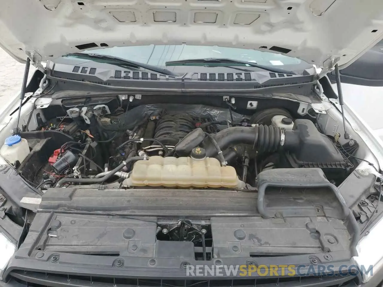 11 Photograph of a damaged car 1FTEW1C56KKC61058 FORD F-150 2019