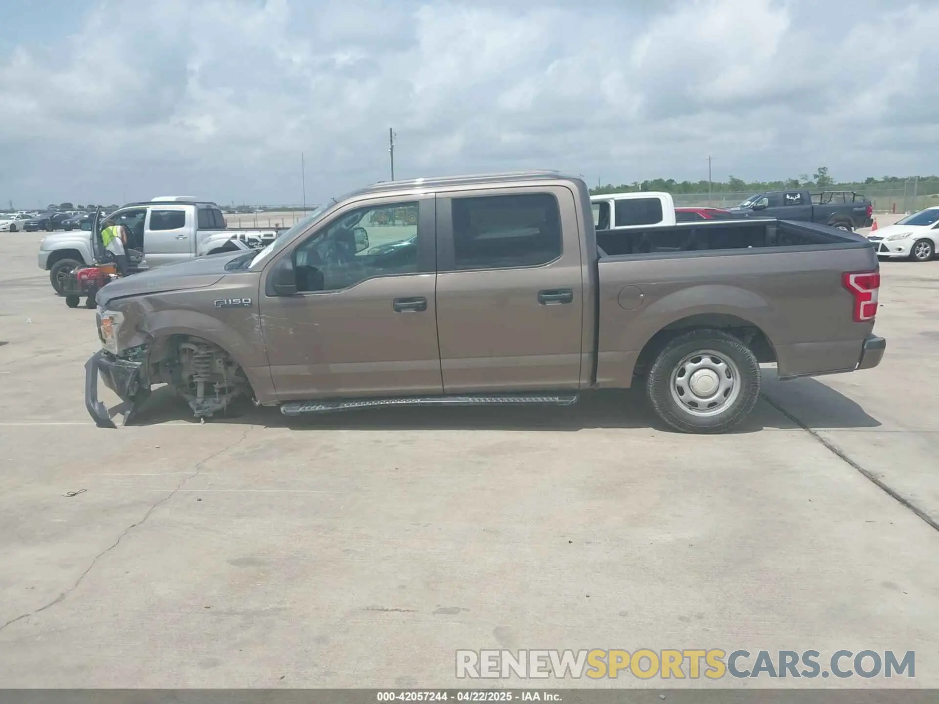 14 Photograph of a damaged car 1FTEW1CP2KKE83484 FORD F-150 2019