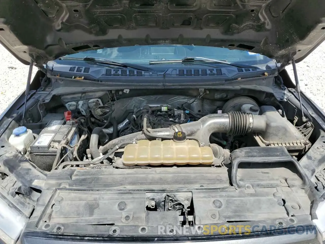 11 Photograph of a damaged car 1FTEW1CP3KKD25879 FORD F-150 2019