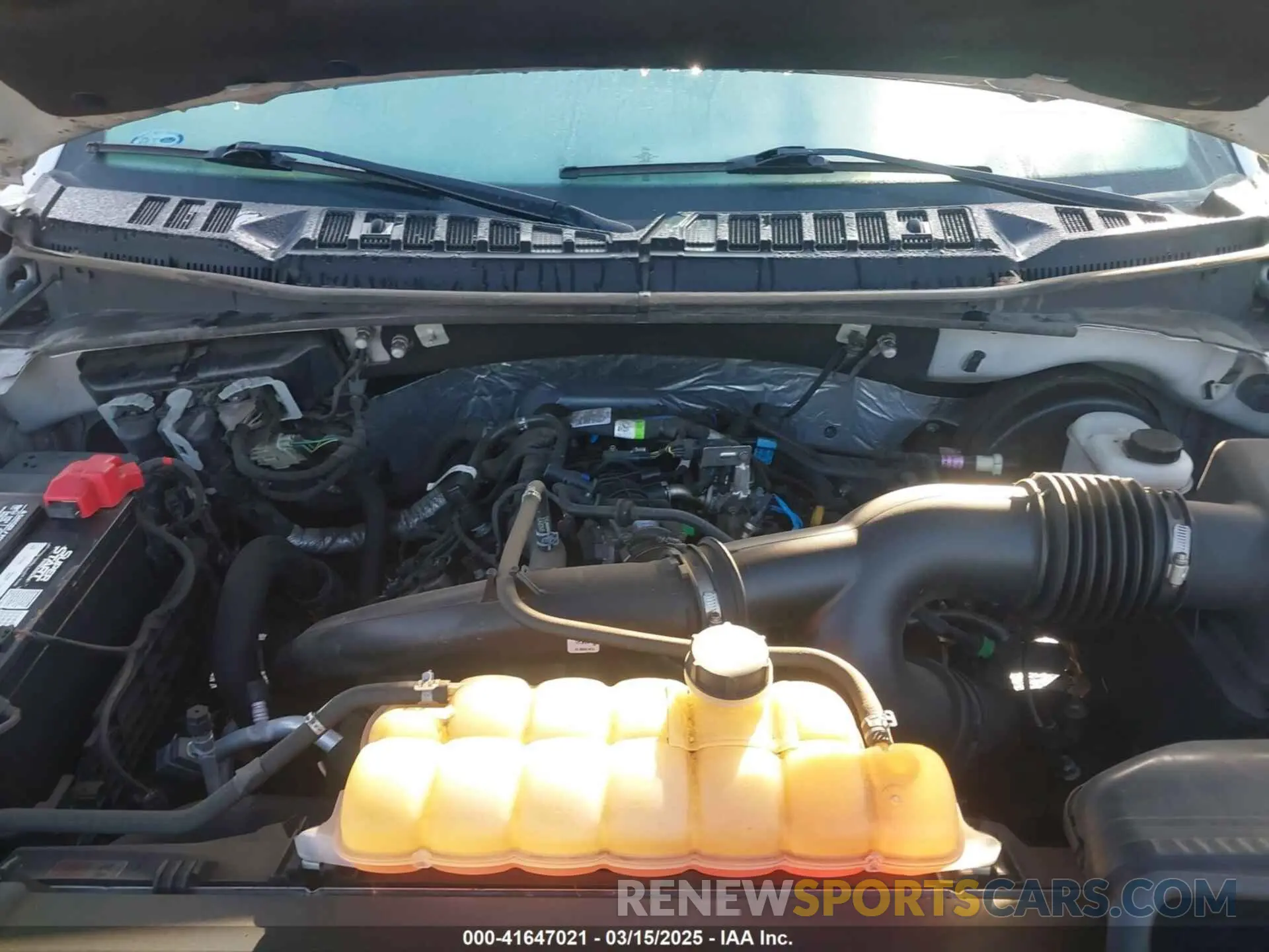 10 Photograph of a damaged car 1FTEW1CP4KKC34877 FORD F-150 2019