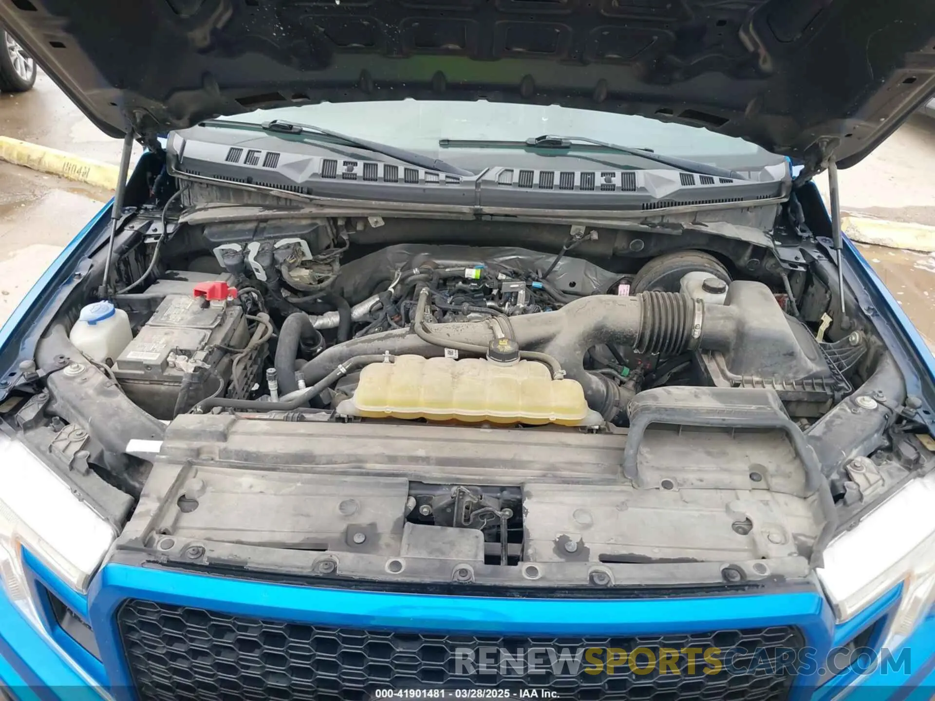 10 Photograph of a damaged car 1FTEW1CP4KKD88411 FORD F-150 2019