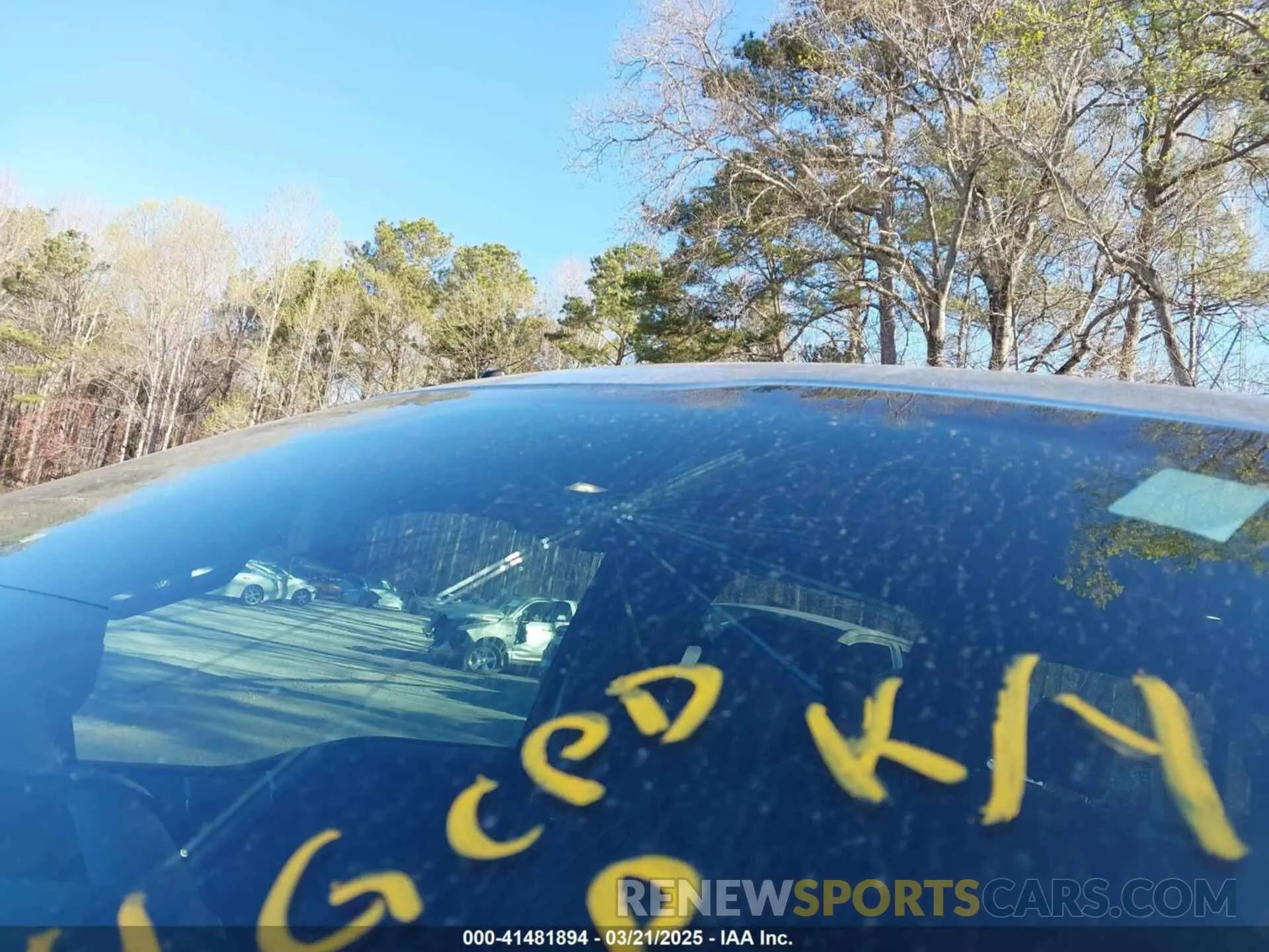 19 Photograph of a damaged car 1FTEW1CP5KFA84724 FORD F-150 2019
