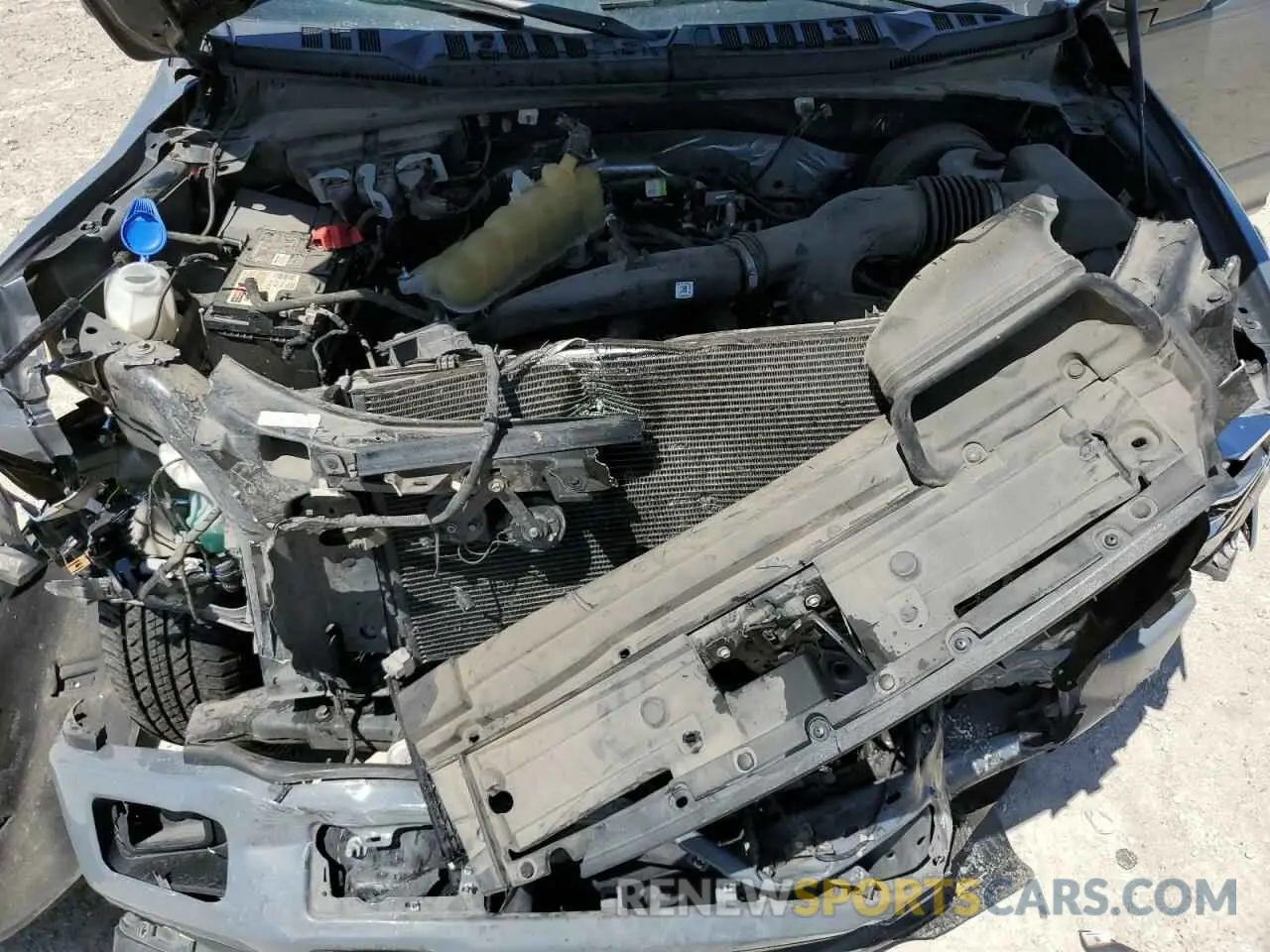 11 Photograph of a damaged car 1FTEW1CP6KKD12348 FORD F-150 2019