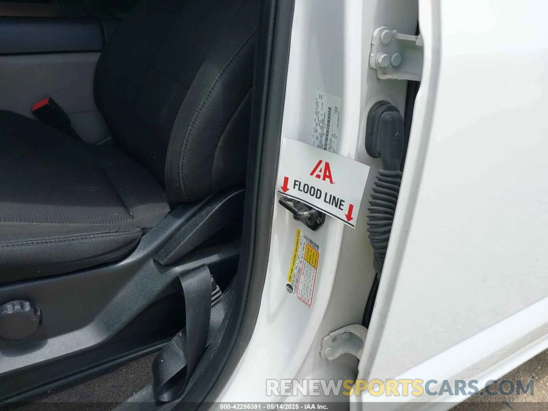 6 Photograph of a damaged car 1FTEW1CP7KKE29338 FORD F-150 2019