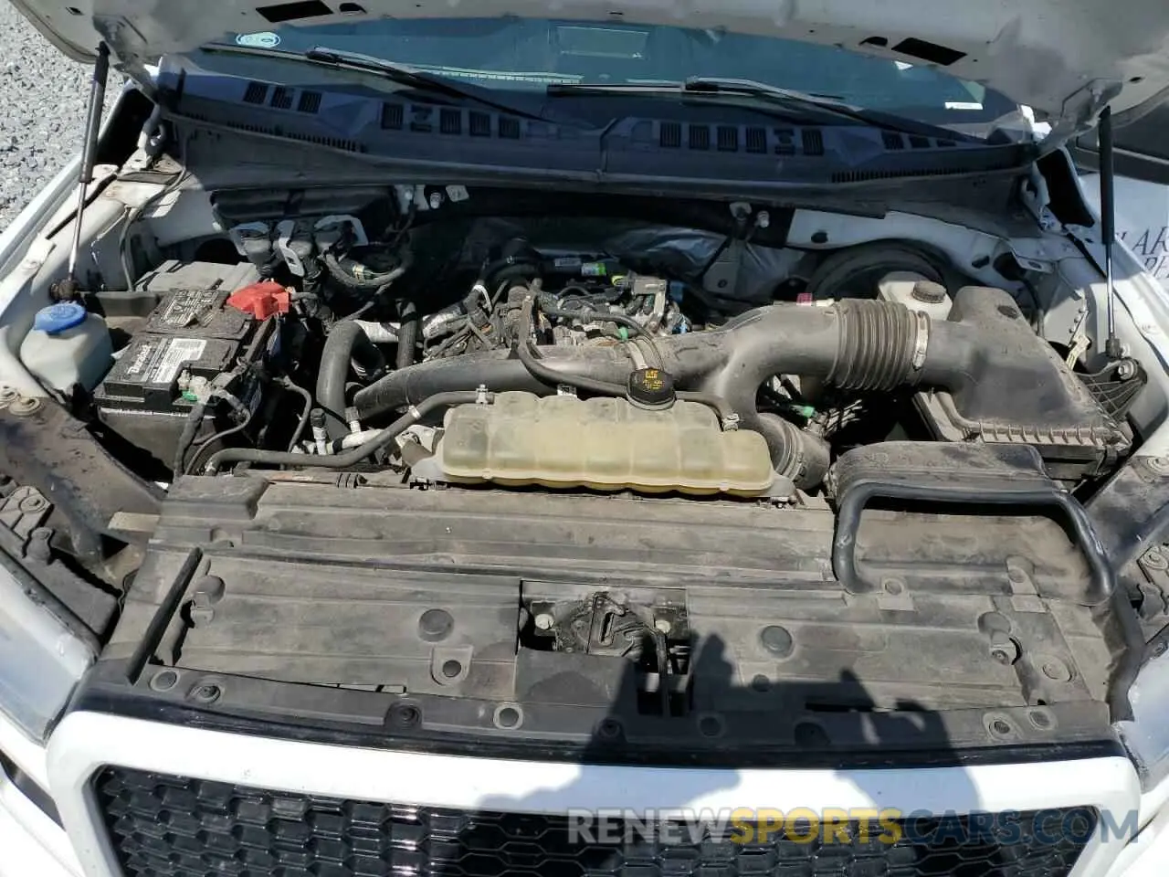 11 Photograph of a damaged car 1FTEW1CPXKKE04367 FORD F-150 2019