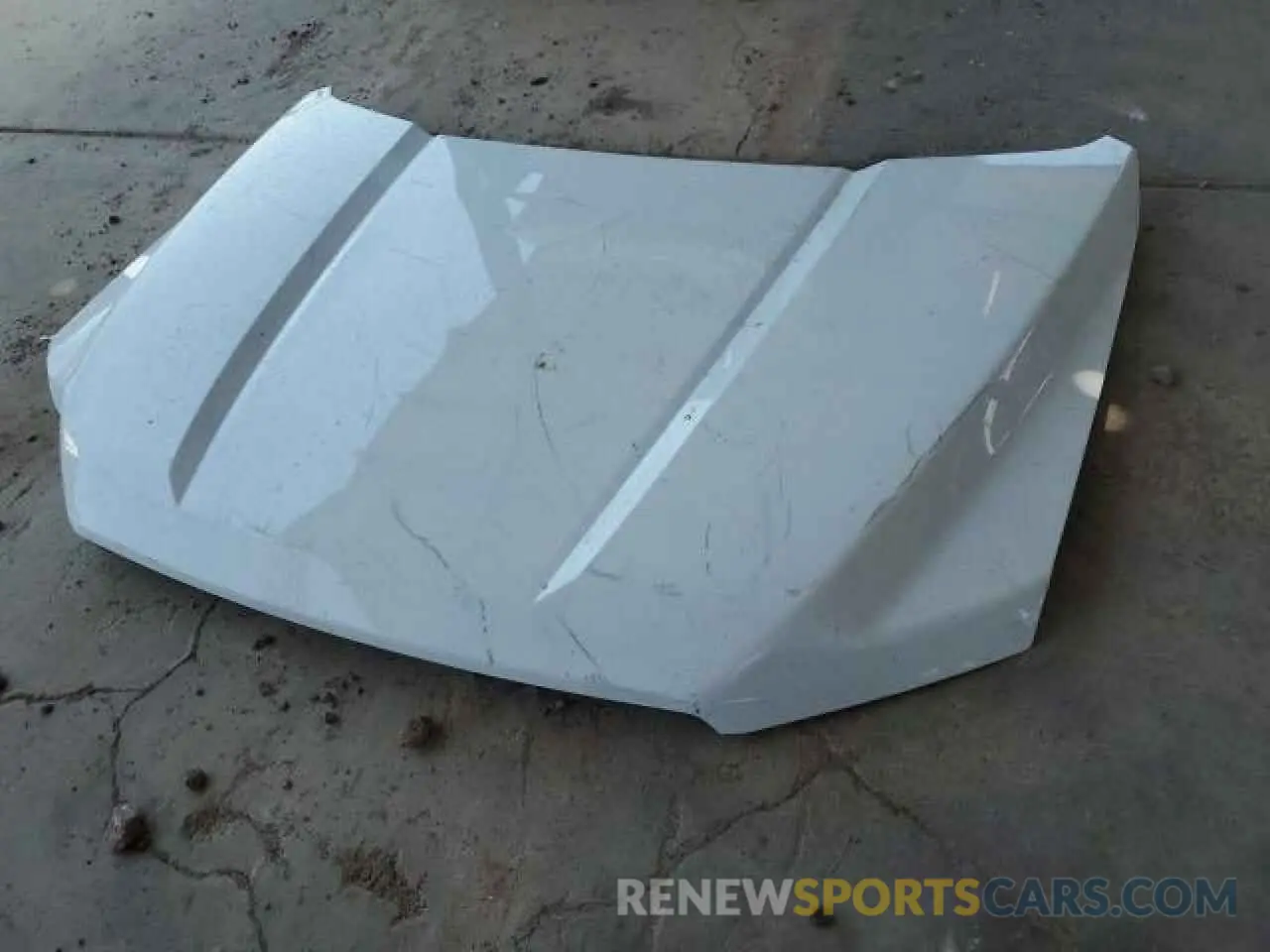 12 Photograph of a damaged car 1FTEW1CPXKKE65301 FORD F-150 2019