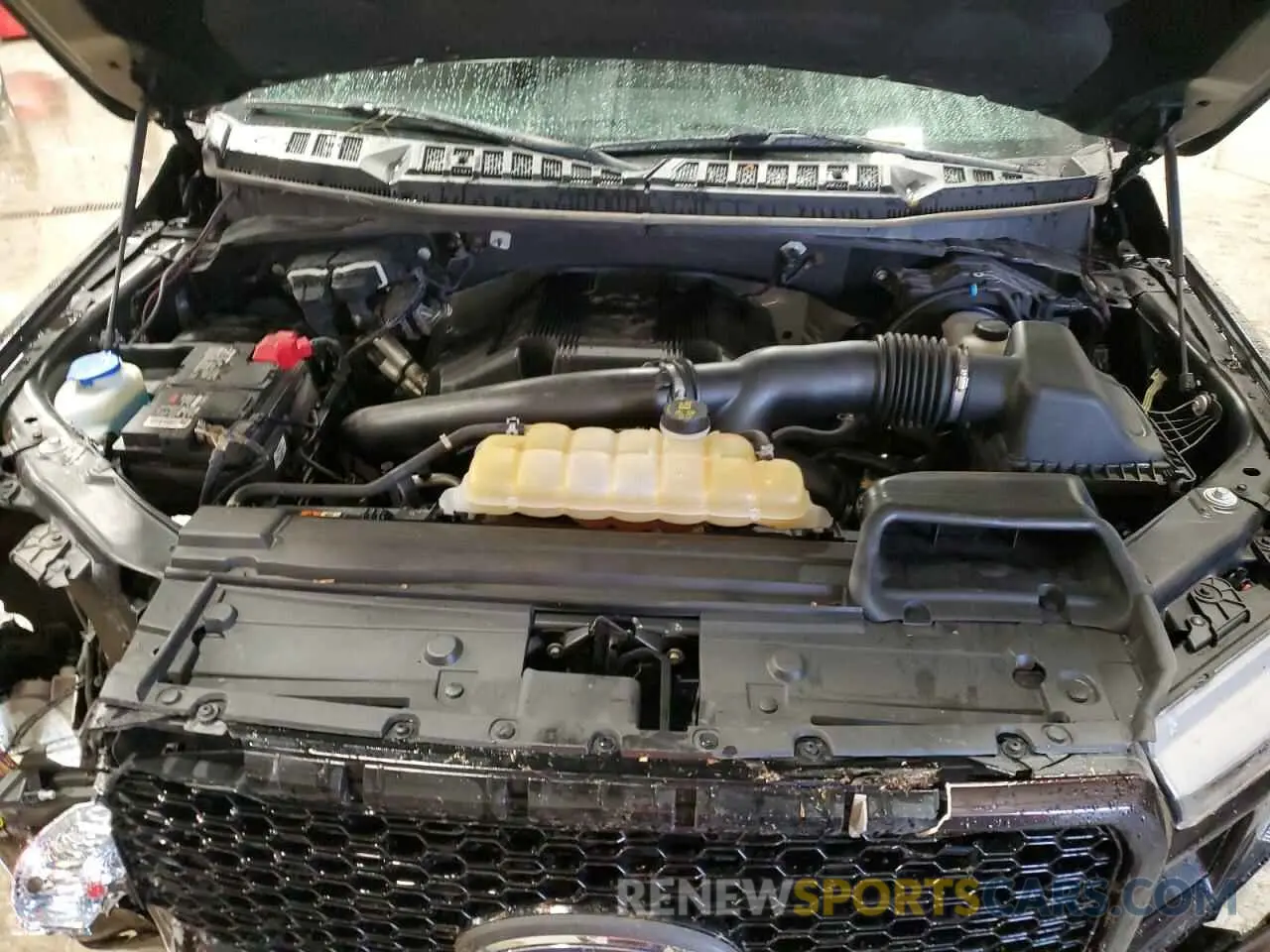 11 Photograph of a damaged car 1FTEW1E40KFB45531 FORD F-150 2019