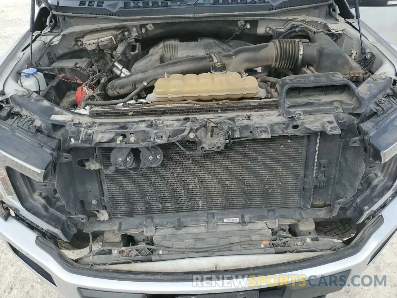 11 Photograph of a damaged car 1FTEW1E40KKE77895 FORD F-150 2019