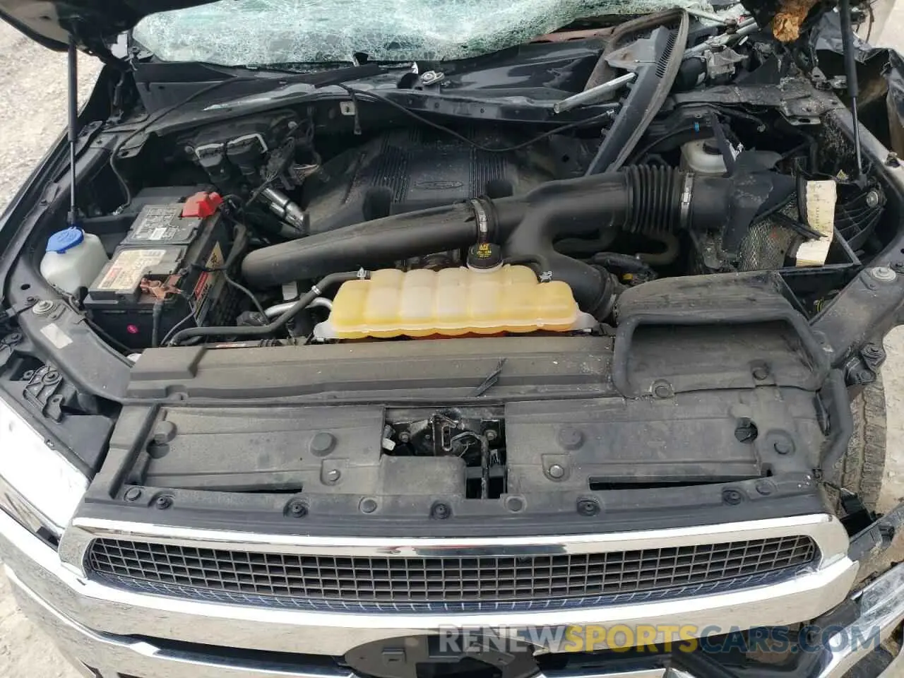 11 Photograph of a damaged car 1FTEW1E41KFA56339 FORD F-150 2019