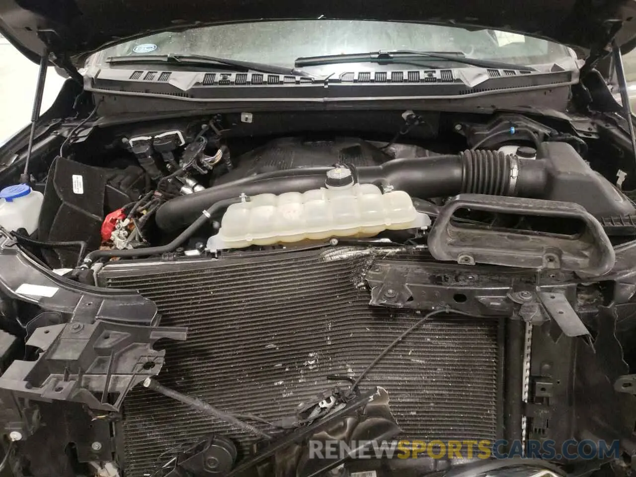 12 Photograph of a damaged car 1FTEW1E41KKE94771 FORD F-150 2019