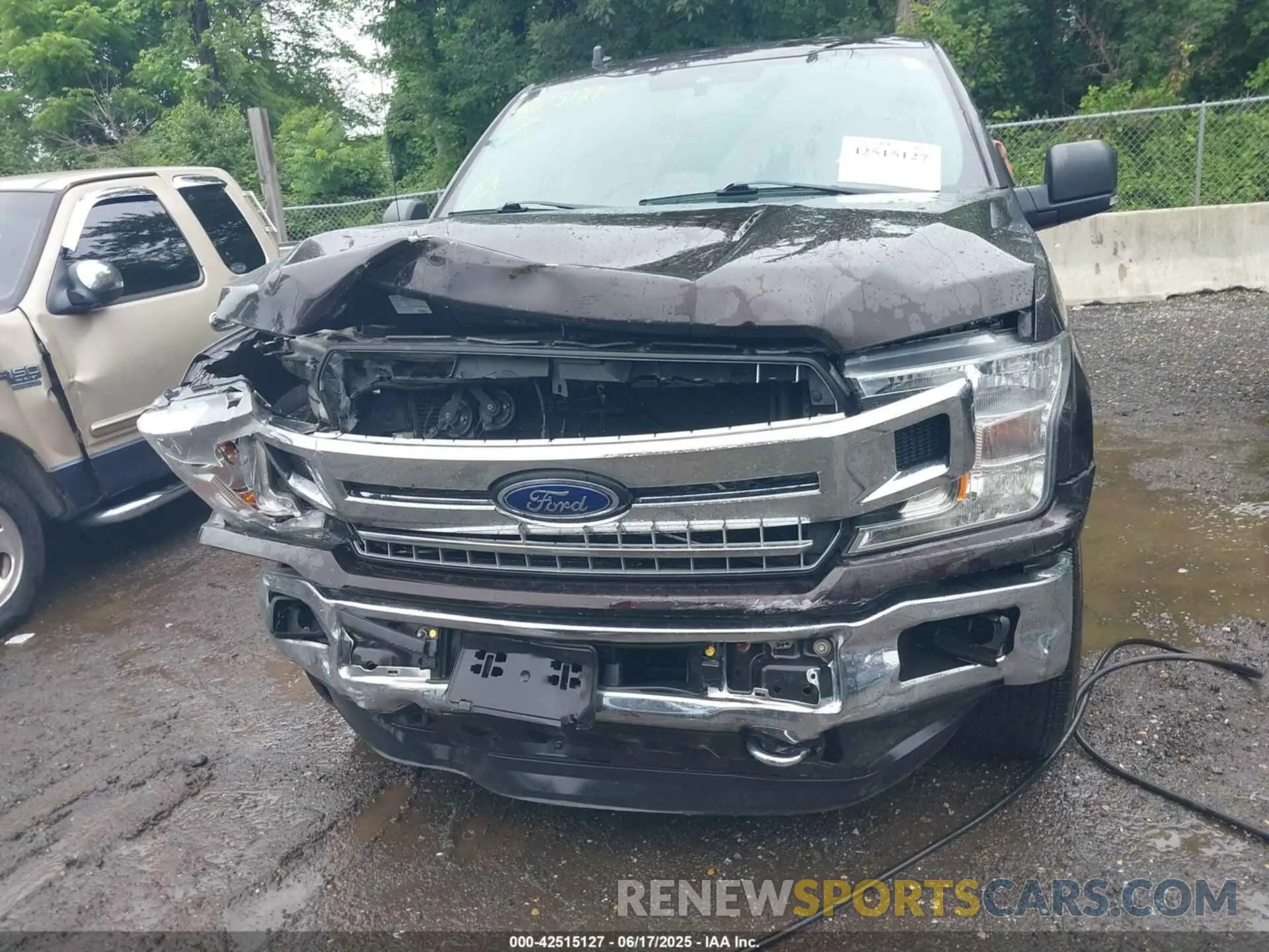 12 Photograph of a damaged car 1FTEW1E43KFC42089 FORD F-150 2019