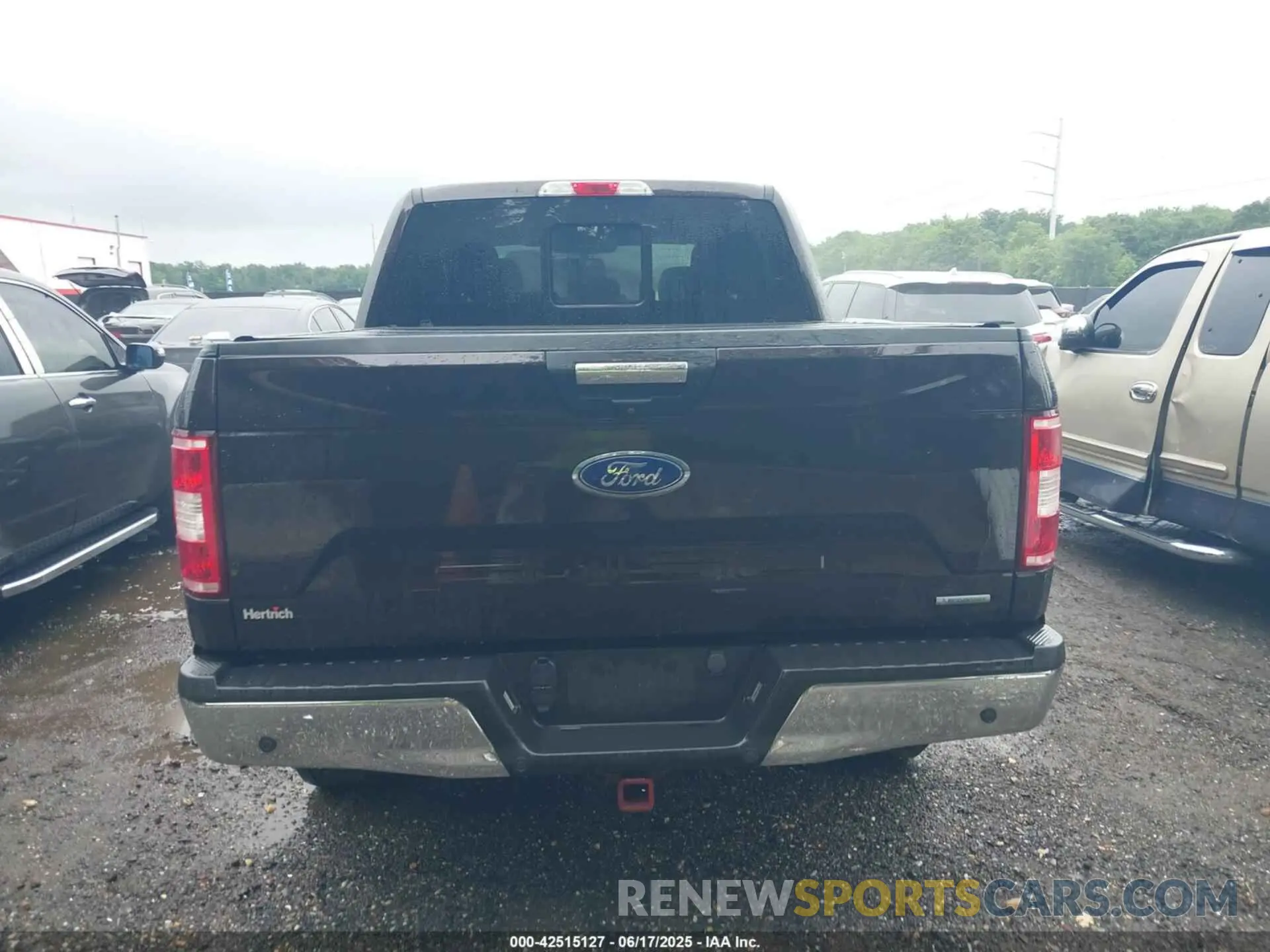 16 Photograph of a damaged car 1FTEW1E43KFC42089 FORD F-150 2019