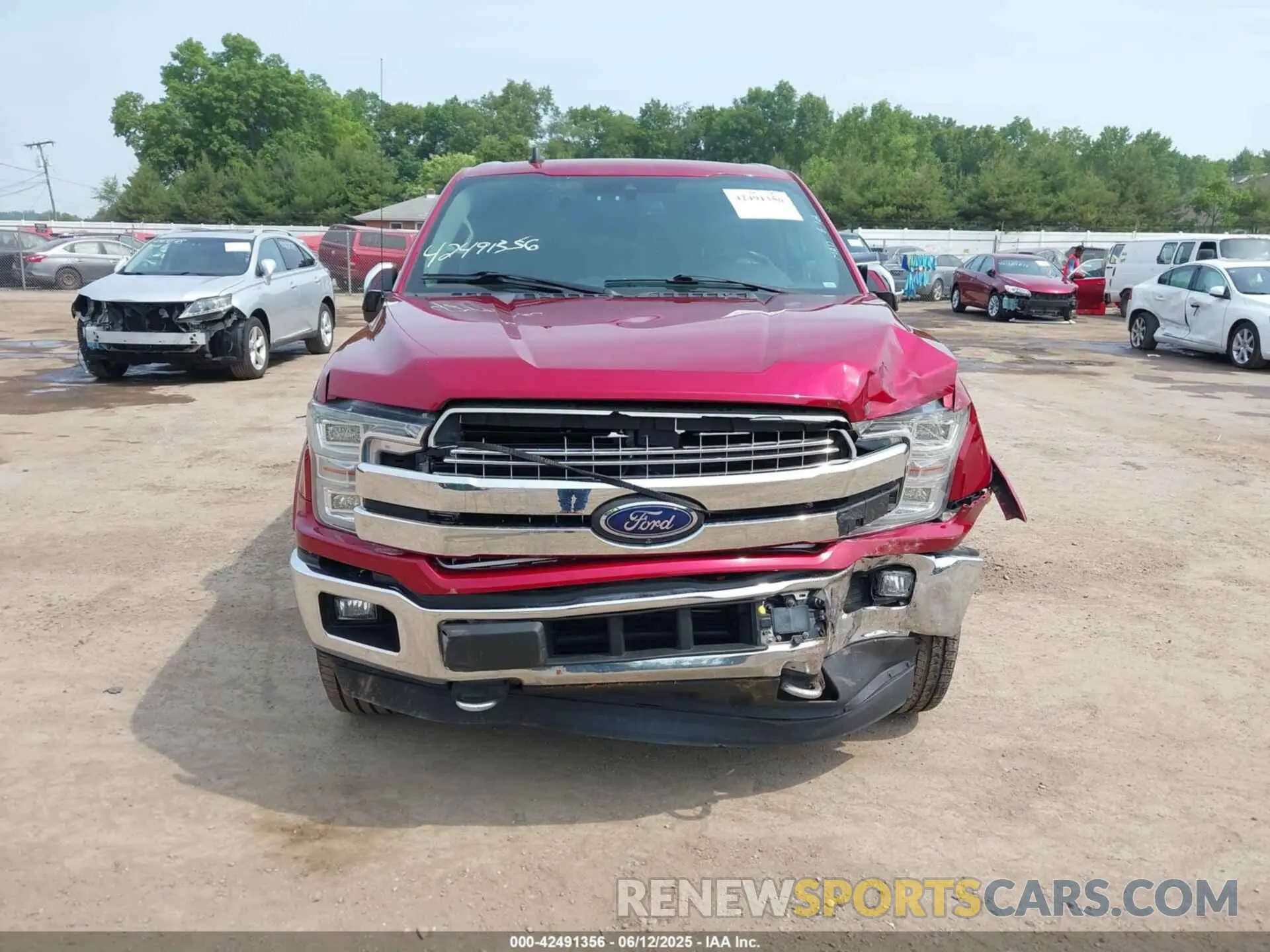 12 Photograph of a damaged car 1FTEW1E44KFB16372 FORD F-150 2019