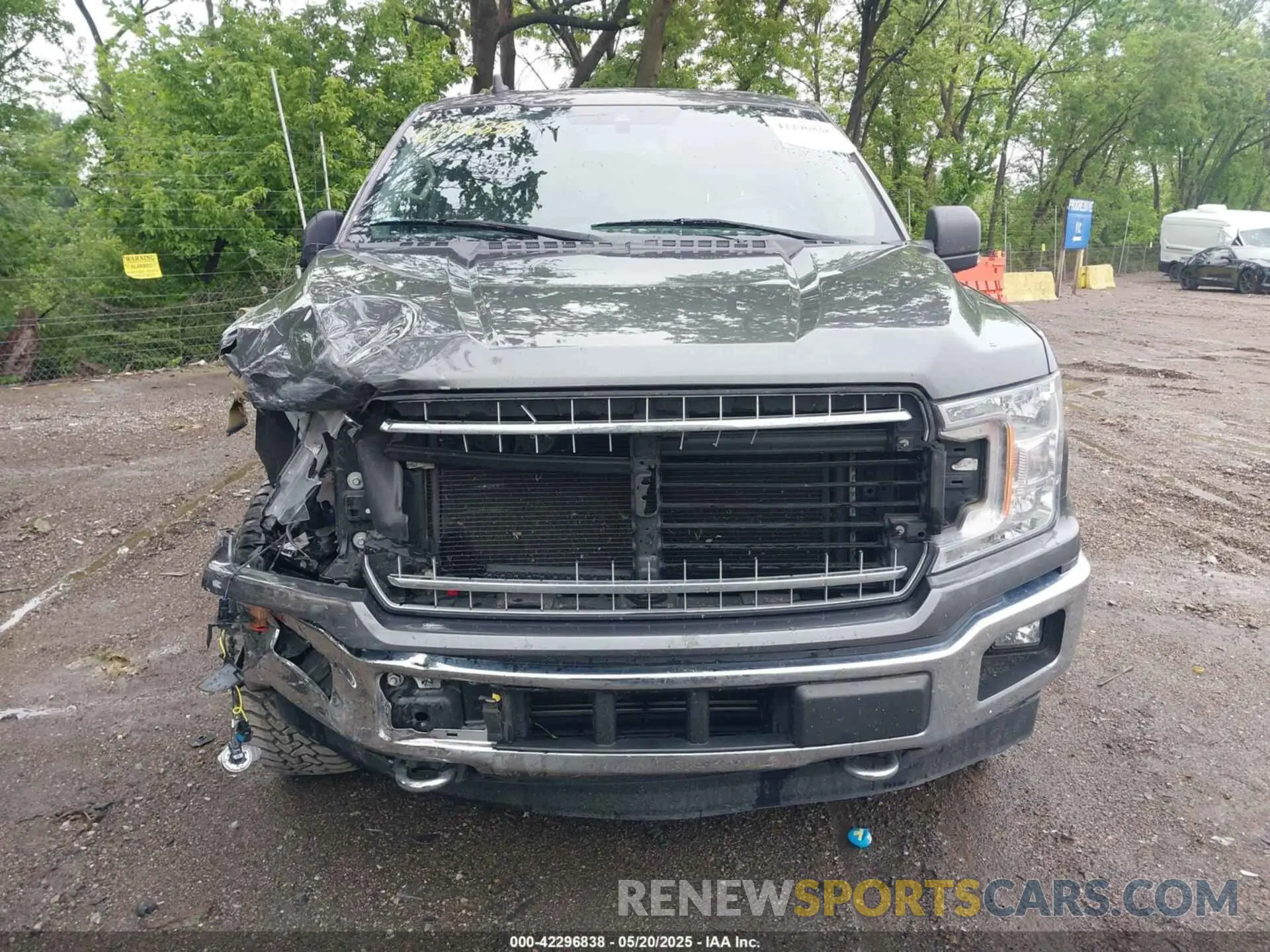 12 Photograph of a damaged car 1FTEW1E44KKD43553 FORD F-150 2019