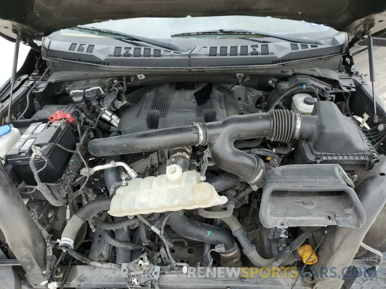11 Photograph of a damaged car 1FTEW1E47KFC11931 FORD F-150 2019